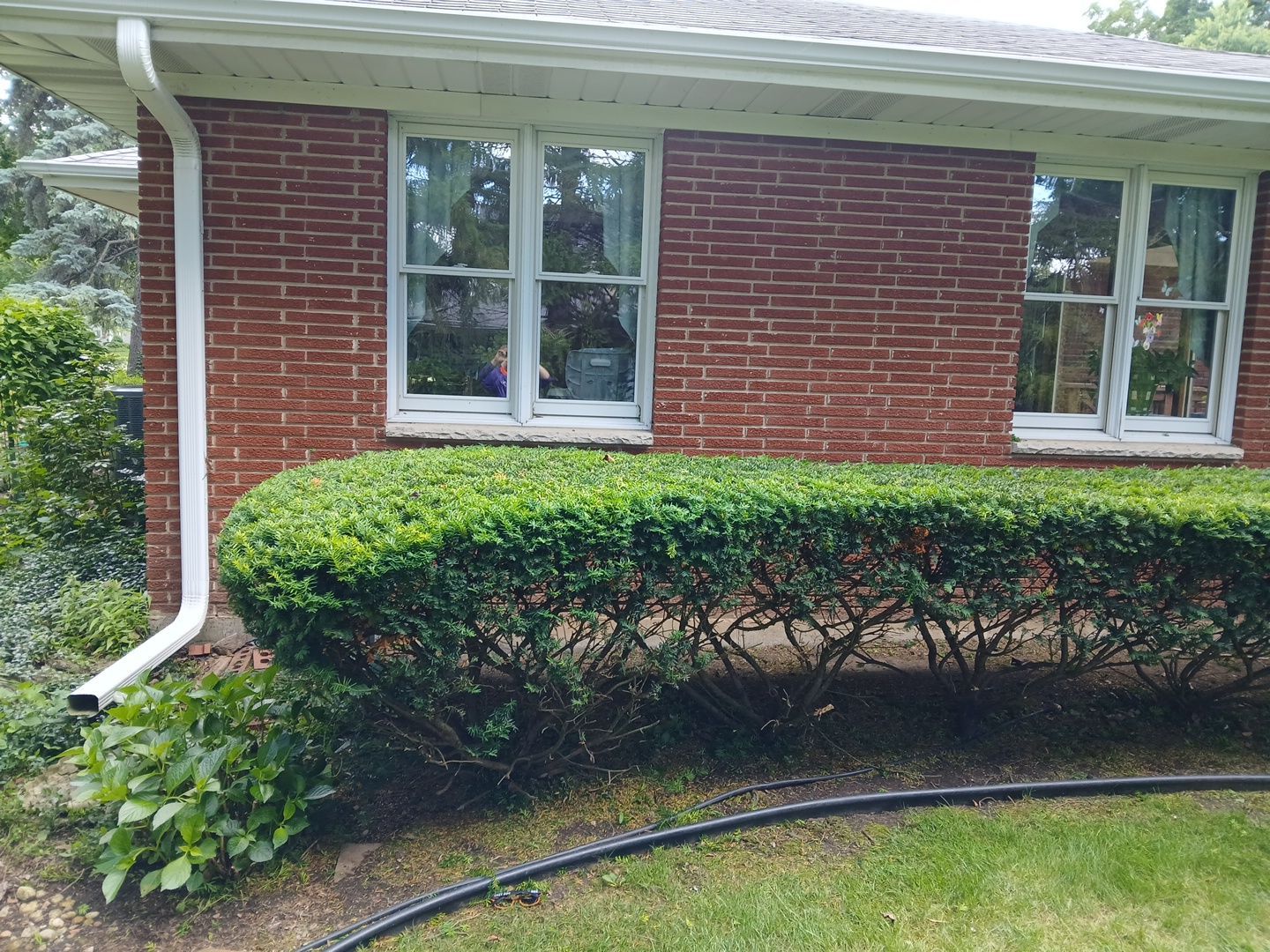Al K. - Arlington Heights, IL by A&N