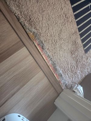 Repairing Damaged Carpet in West Sacramento