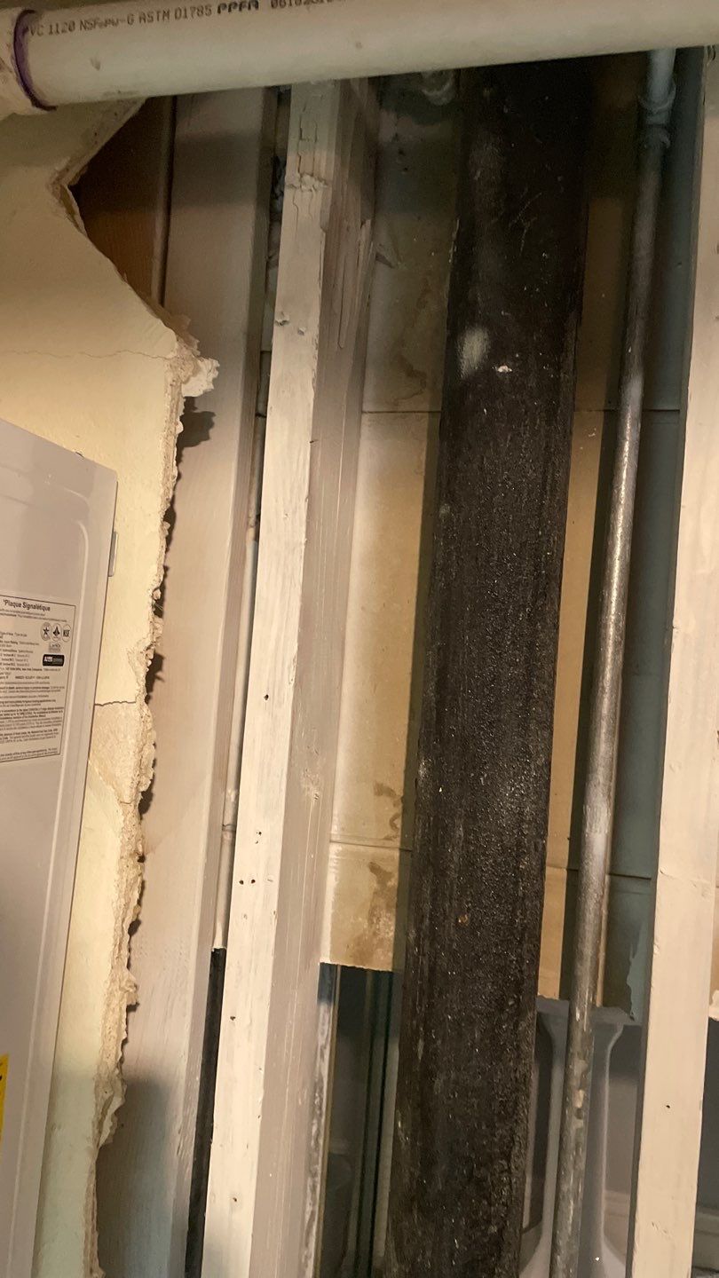 Mold Remediation by Accountable Home Services