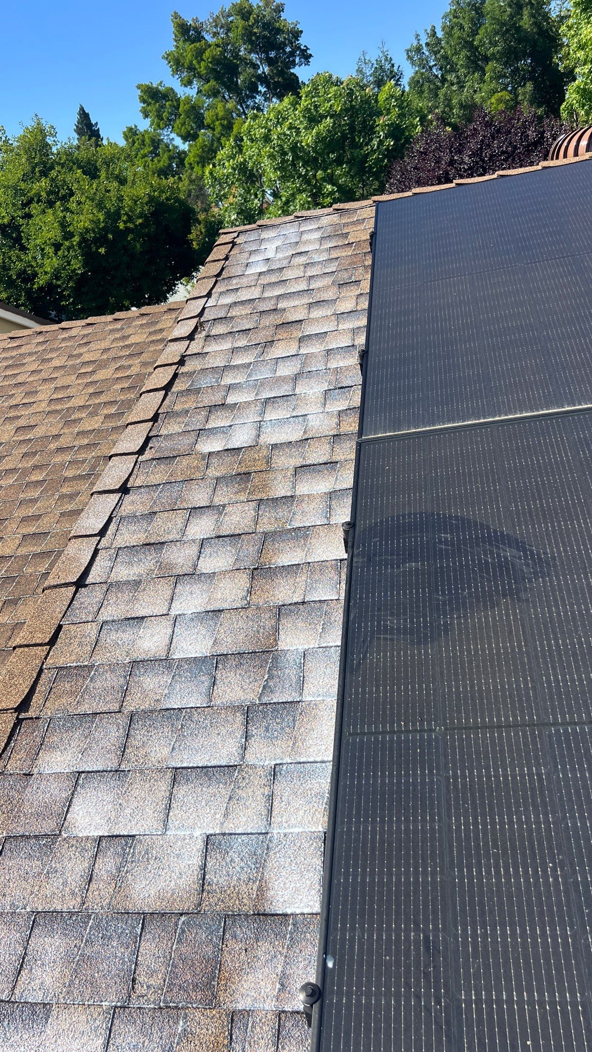 Roof Rejuvenation using Roof Maxx Treatment by Roof Maxx of Folsom