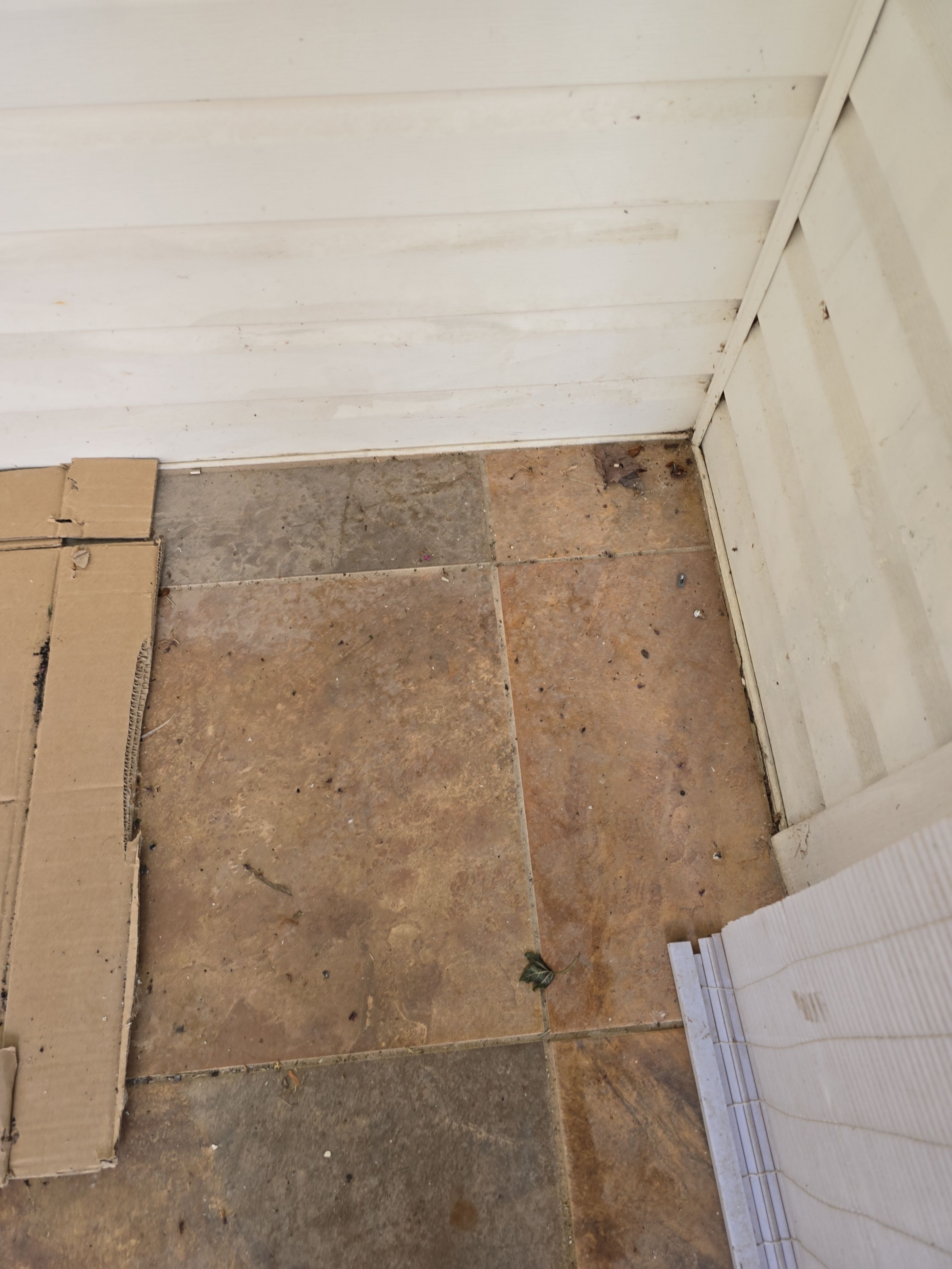 Garage and Patio Beautification! by Elite Floor Solutions