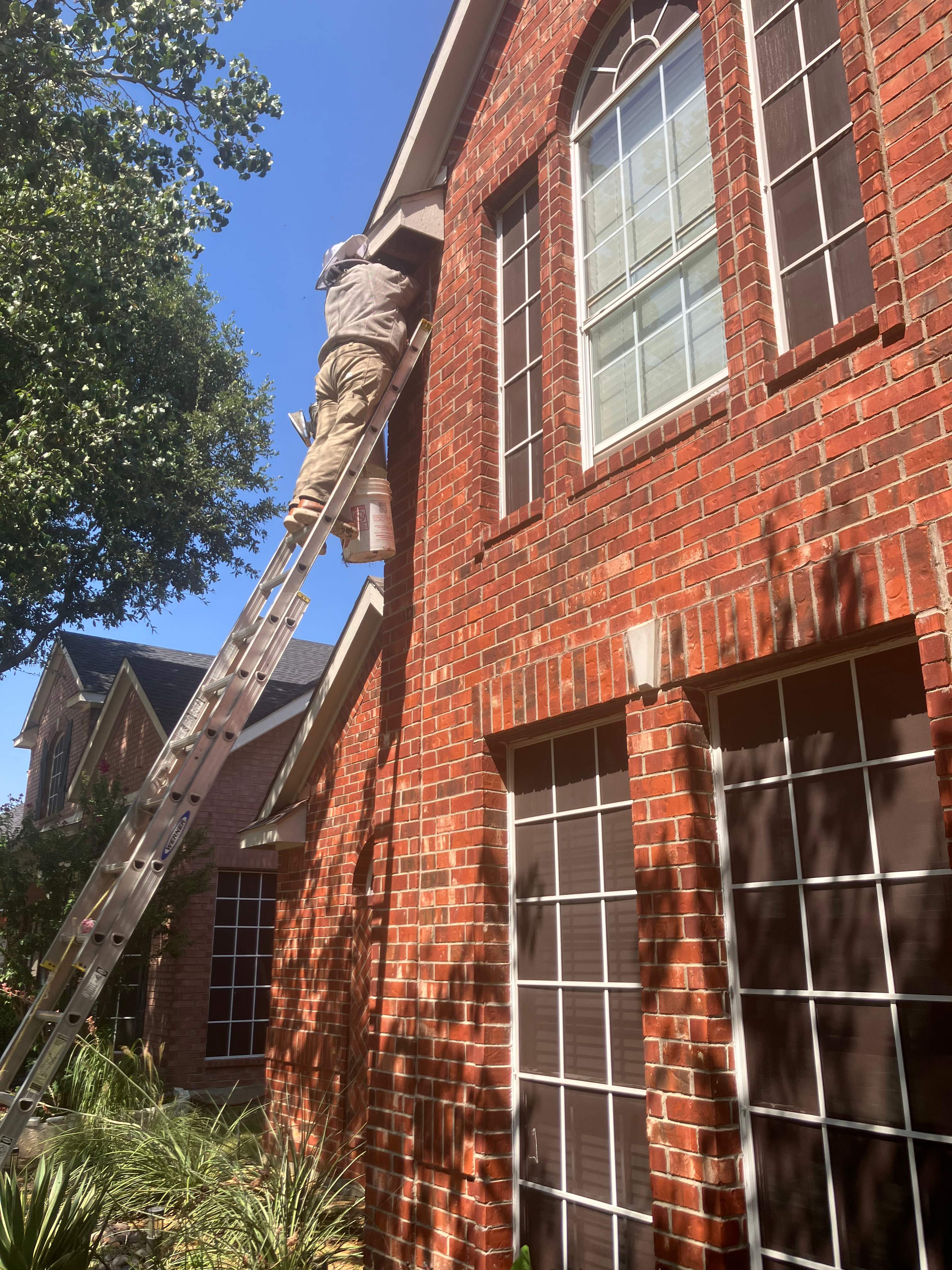 Extra High Up by Rockwall Honey Bee Company