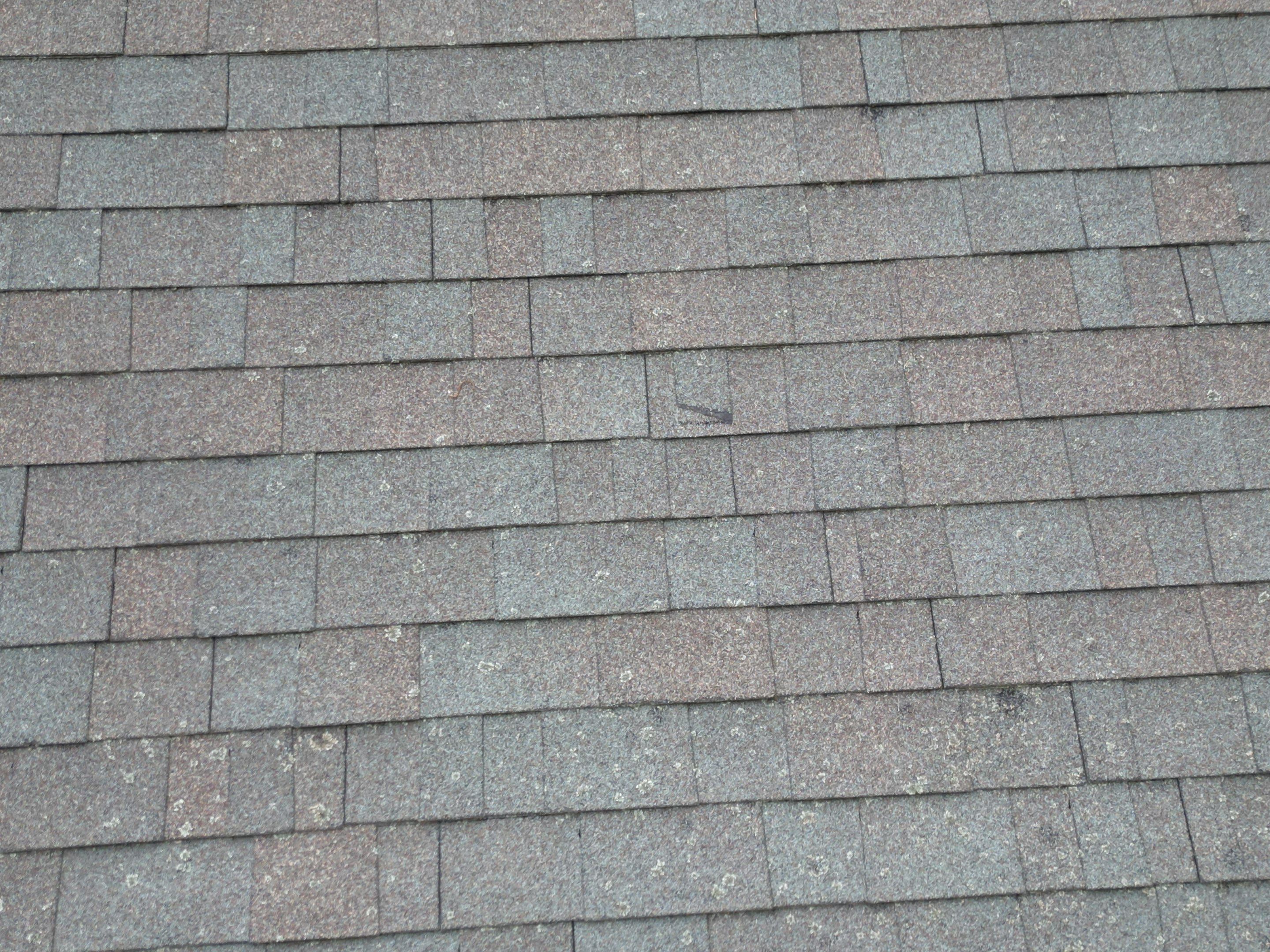 Asphalt Shingle Roof Replacement | Billerica, MA by Mighty Dog Roofing of Greater Middlesex County