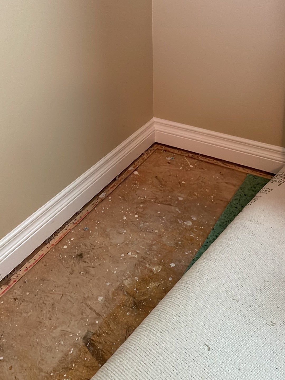 Project in Novi by EzDry Water Mitigation & Property Restoration