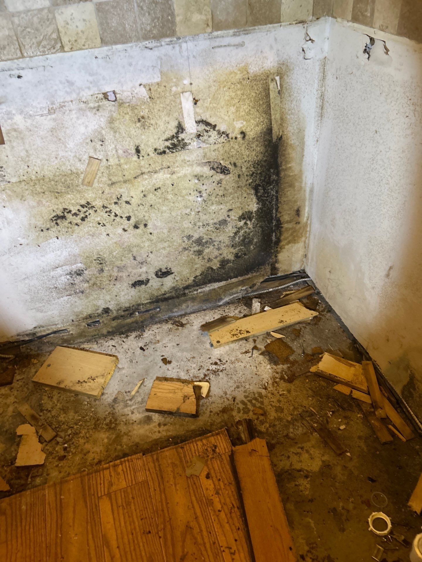 Commercial Mold Damage In Sarasota by Ampm Restoration Services