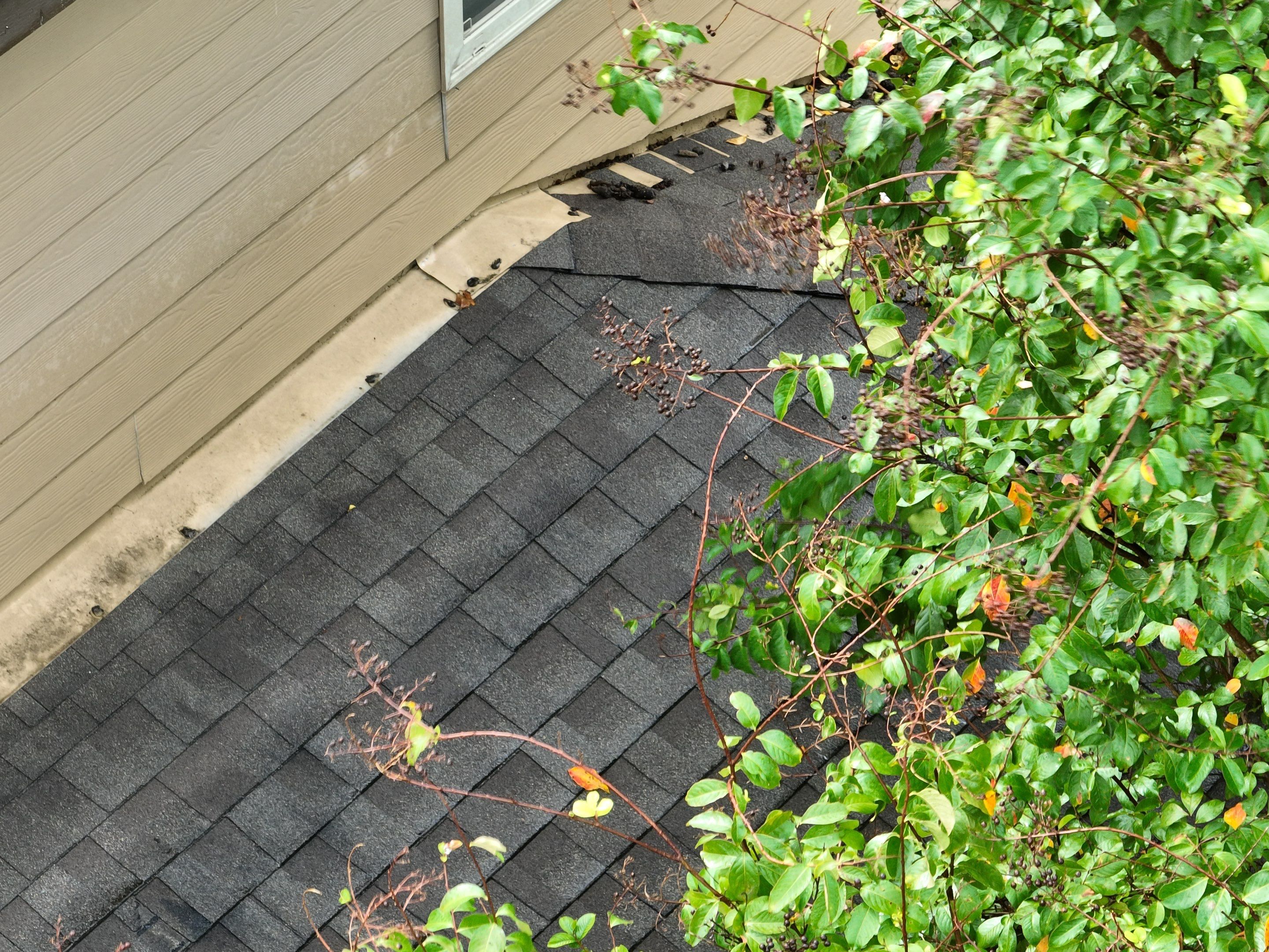 Roof Inspection  by Premier Roofing and Contracting