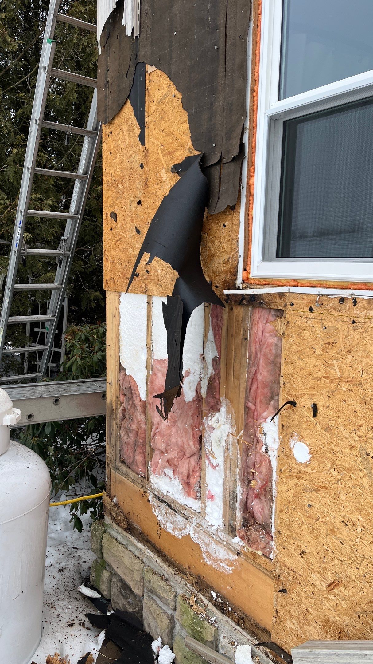 Royal Siding and Okna Windows by Aspen Home Improvements