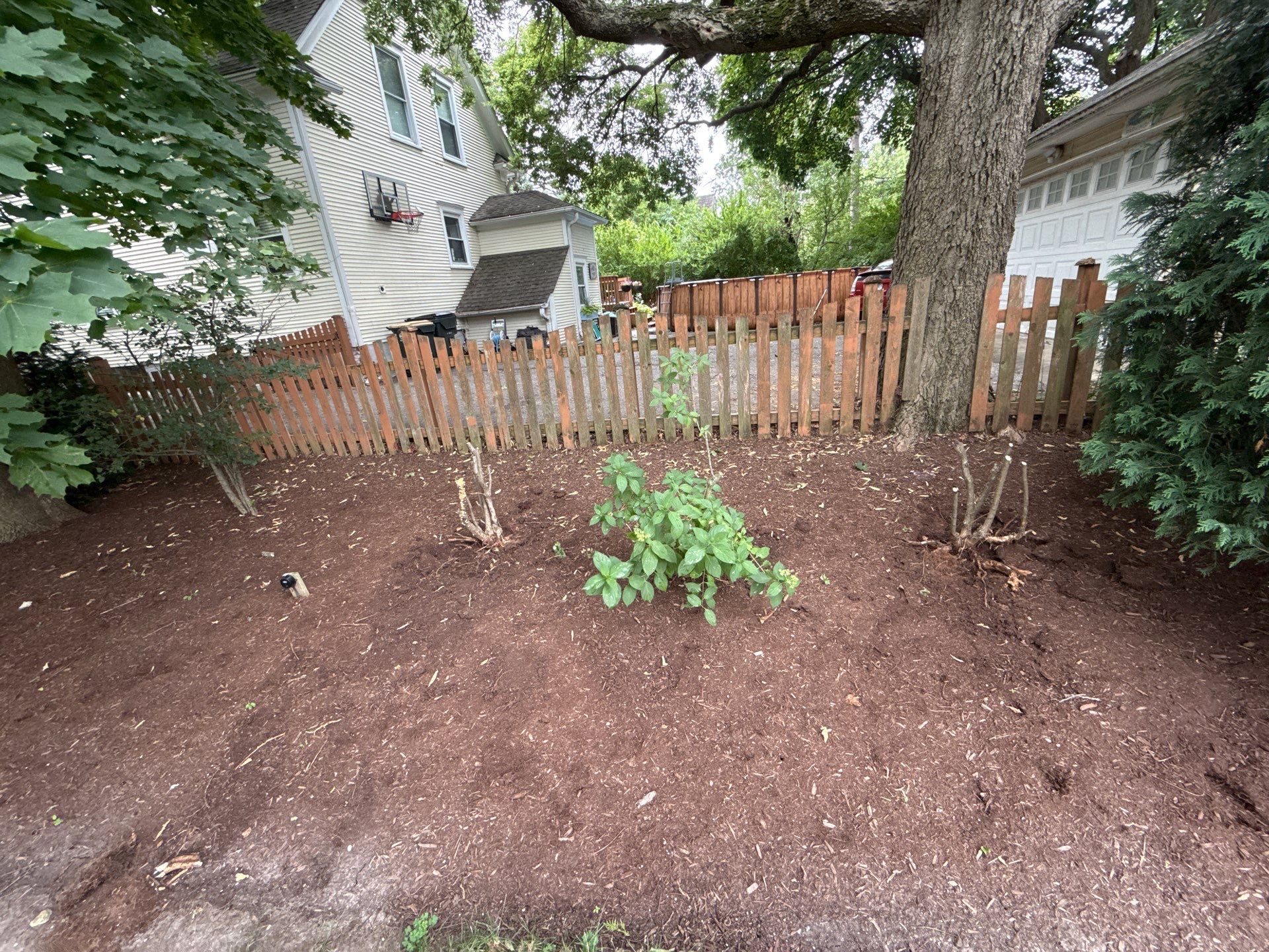 Scott M. - Arlington Heights, IL by A&N