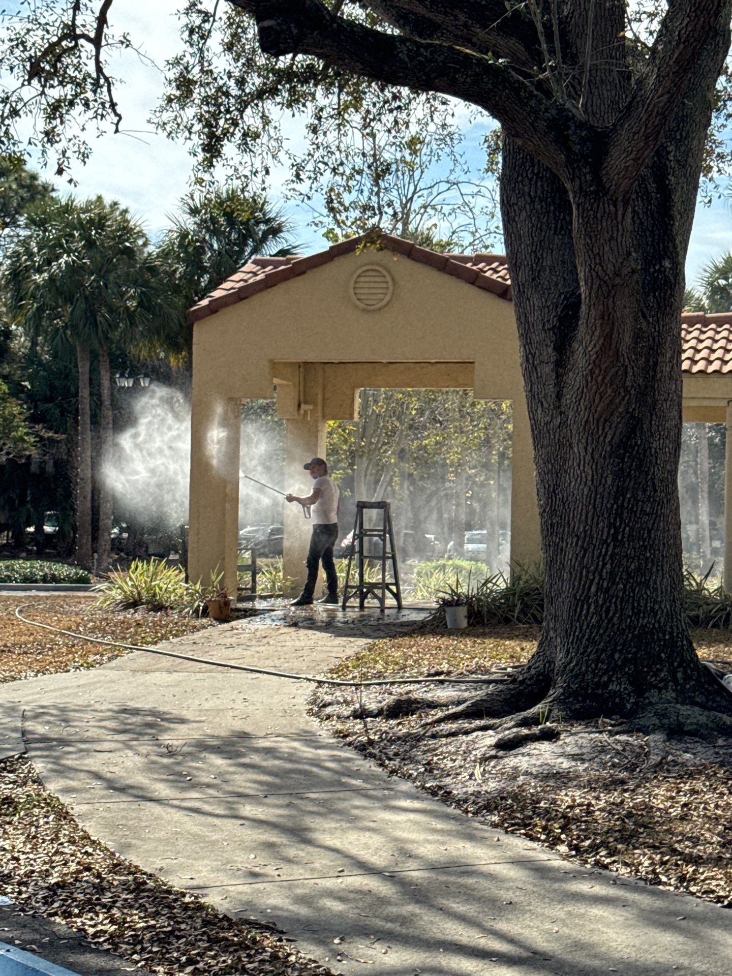 Project in West Palm Beach by Crush Development Services LLC