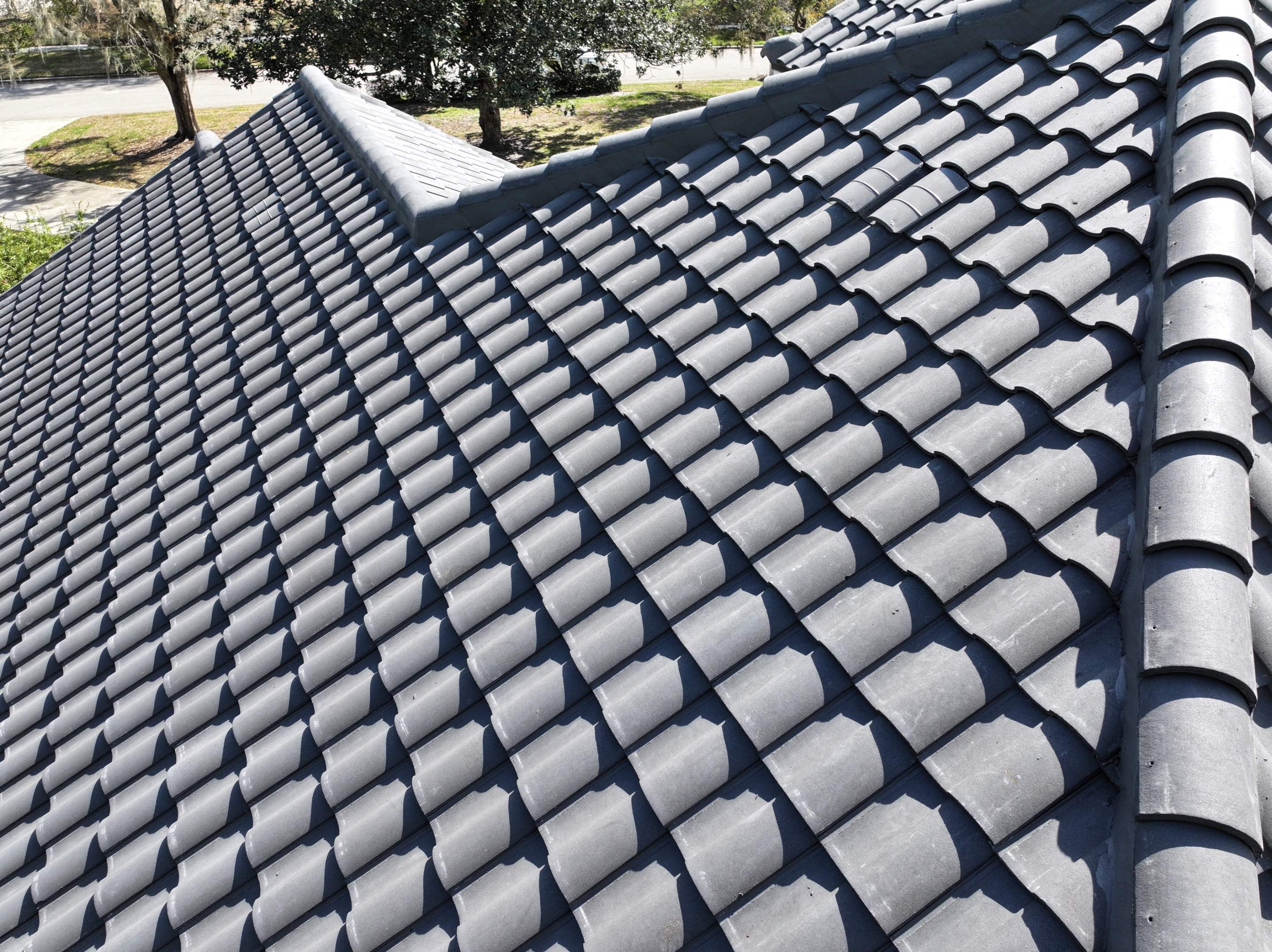 Eagle Barrel Tile - Lake Mary Florida  by David Patrick Roofing