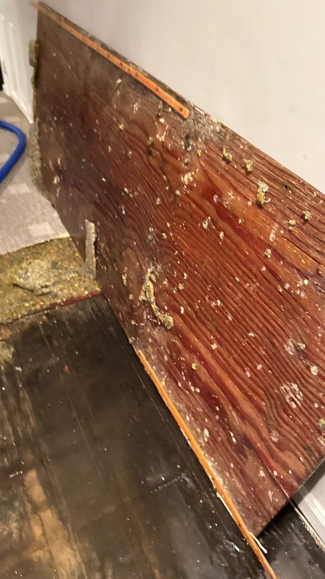 Project in Port Washington, NY by Certaclean Restoration