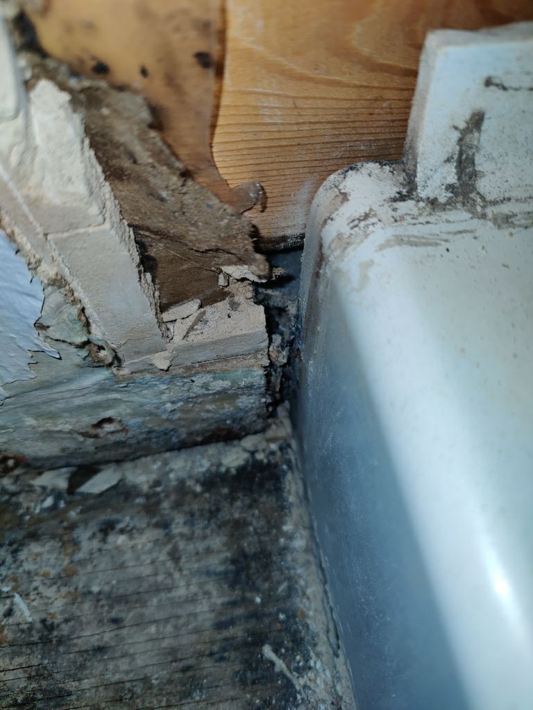 Mold Remediation  by Accountable Home Services