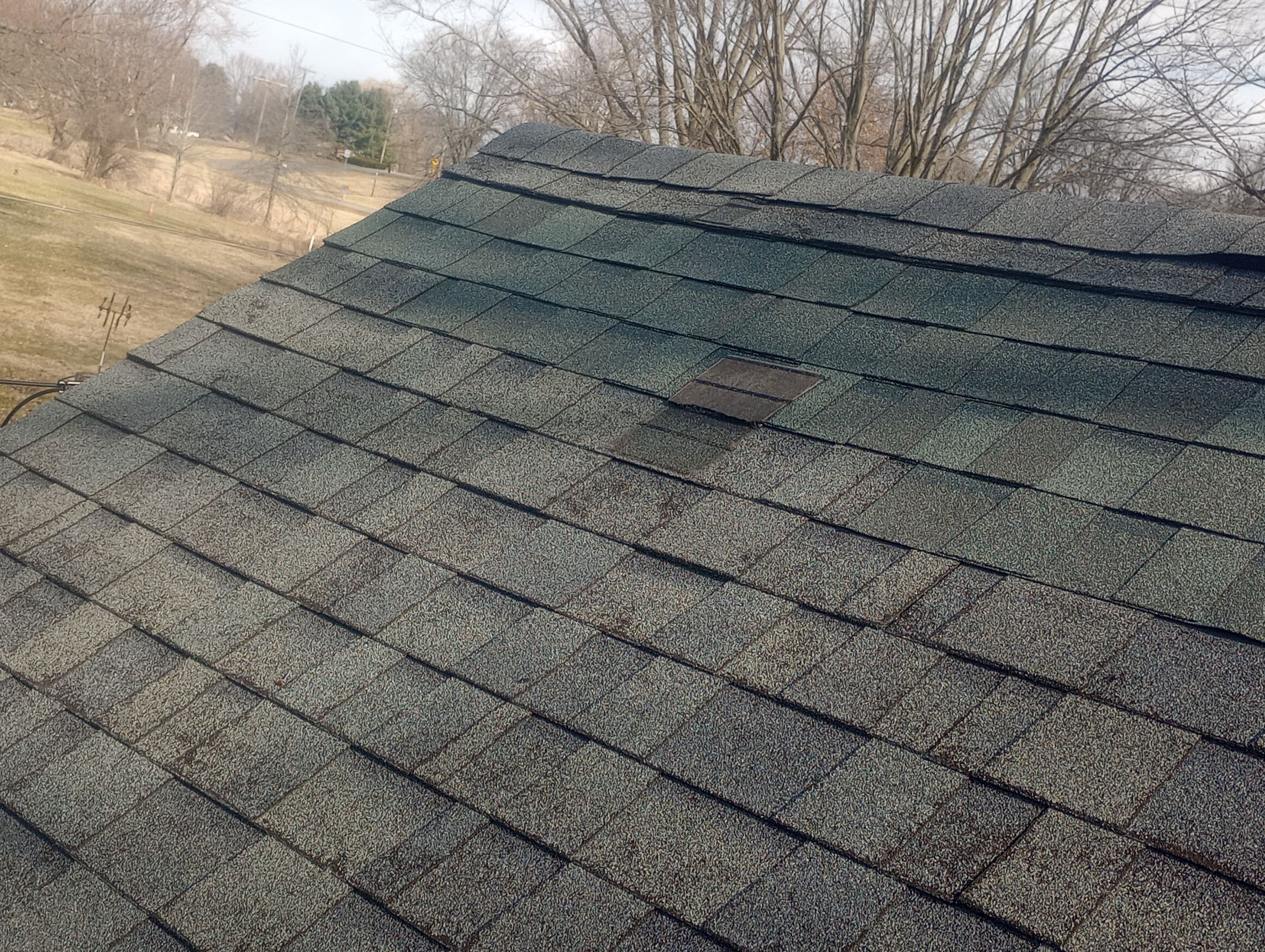 Kristine Mann by Silver Leaf Contracting 