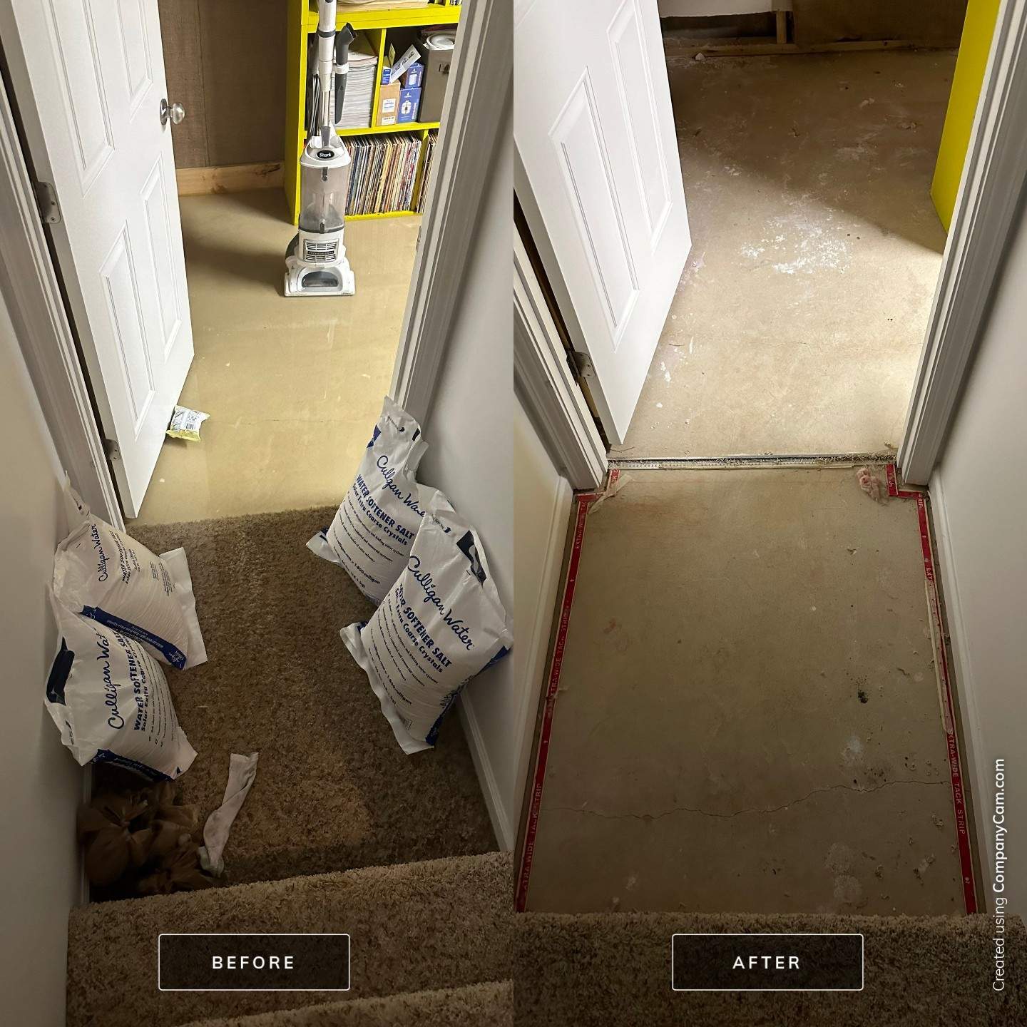 Sump Pump failure loss by BlueRed Restoration