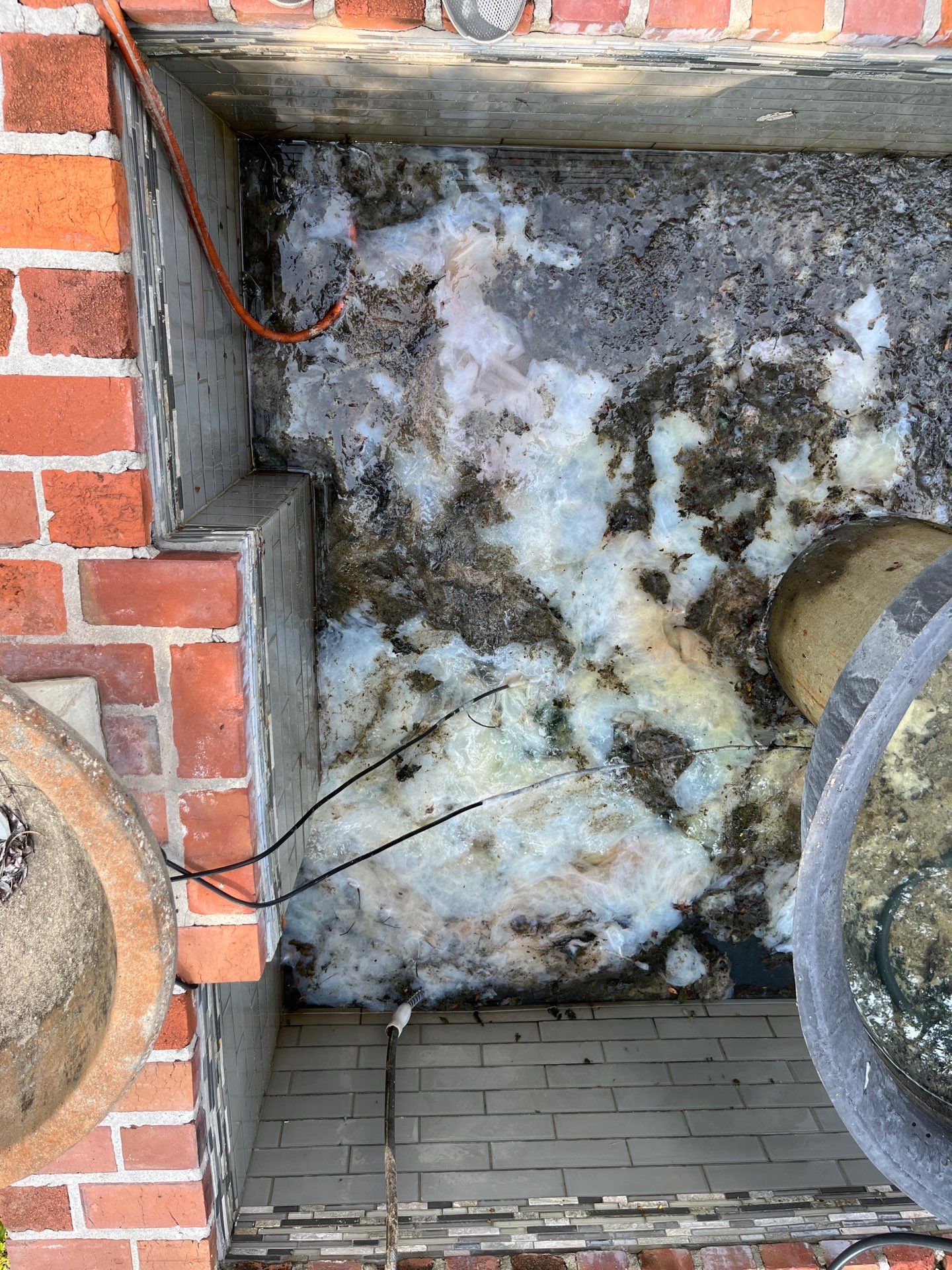 Pool Cleaning using Pool Cleaner by College Bros Outdoor services