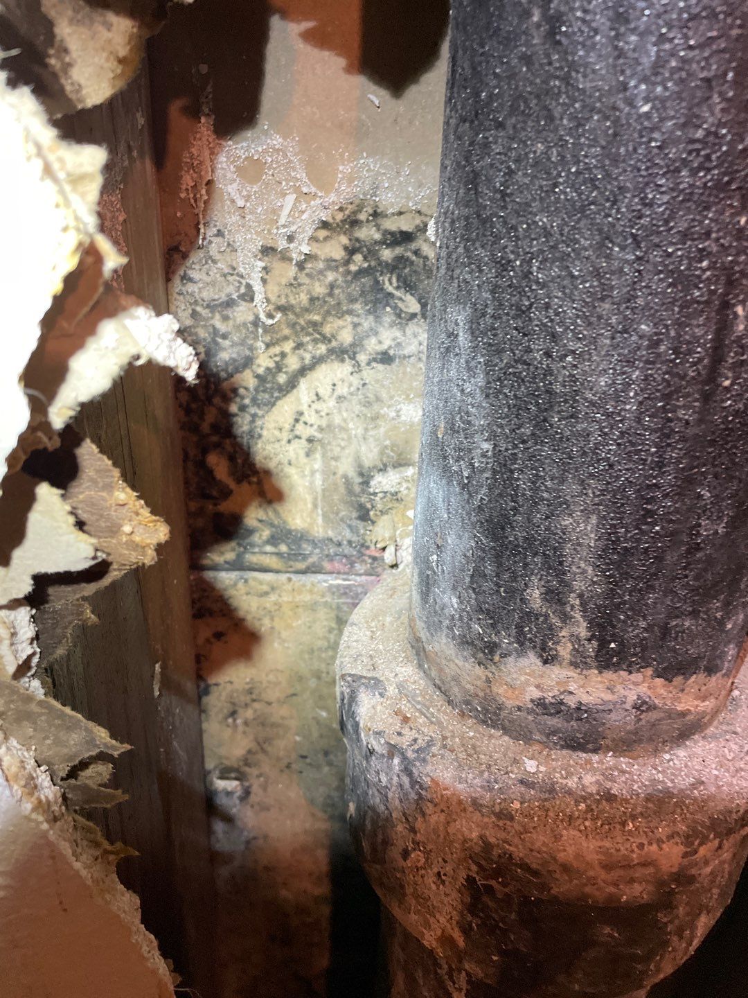 Mold Remediation by Accountable Home Services