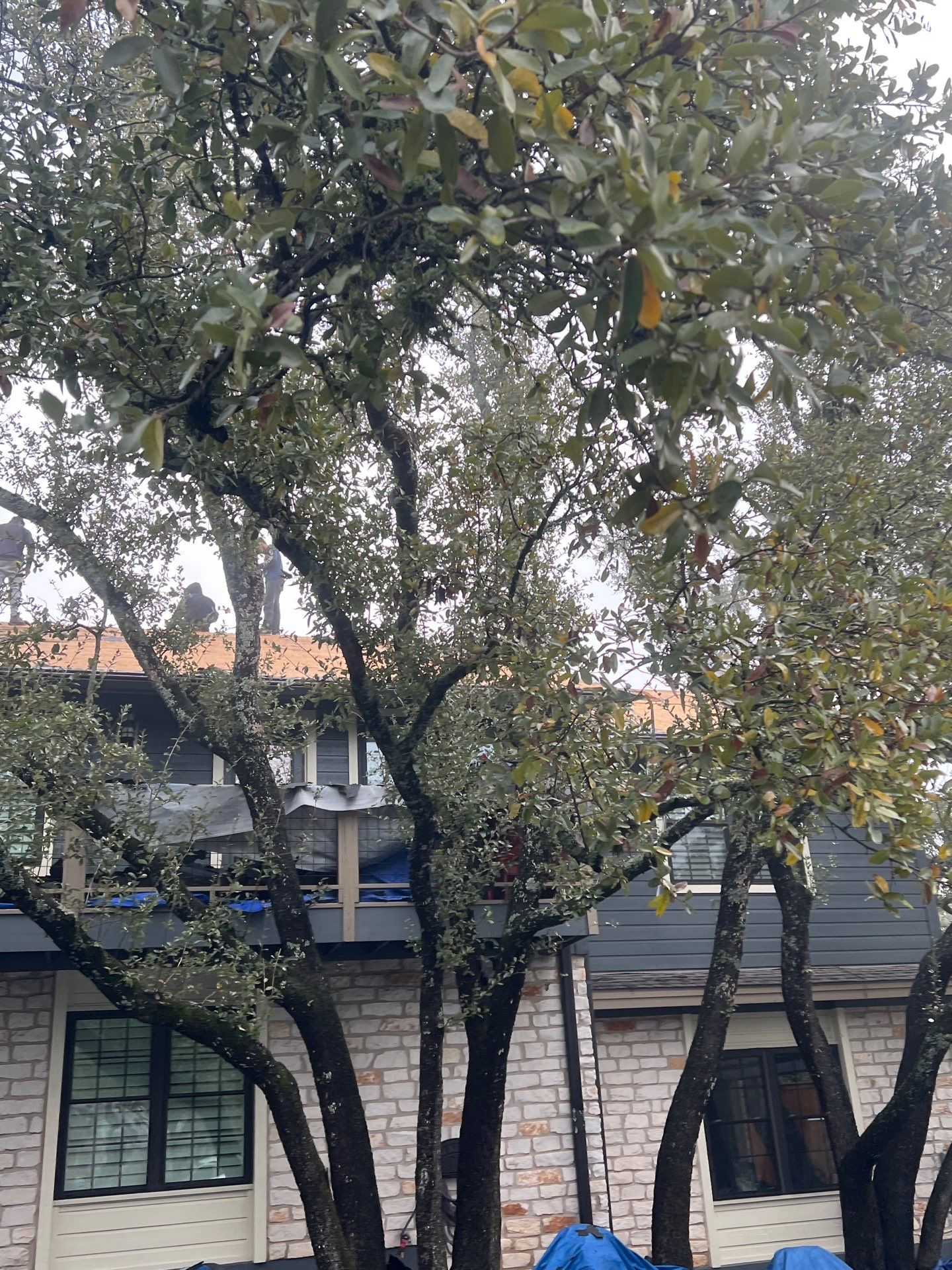 Project in Austin by Rhino Roofing and General Contracting, LLC