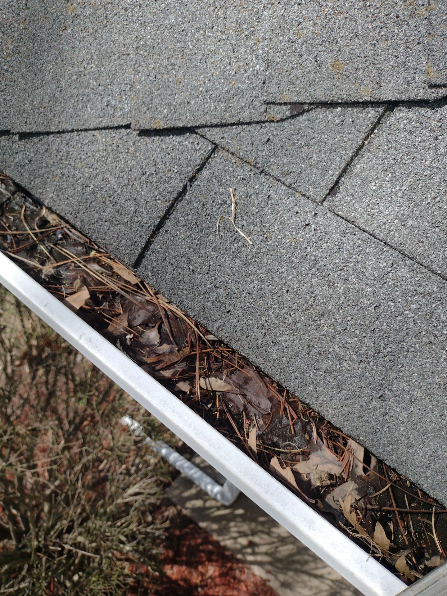 Commercial gutter cleaning Georgia before photo with filled gutters
