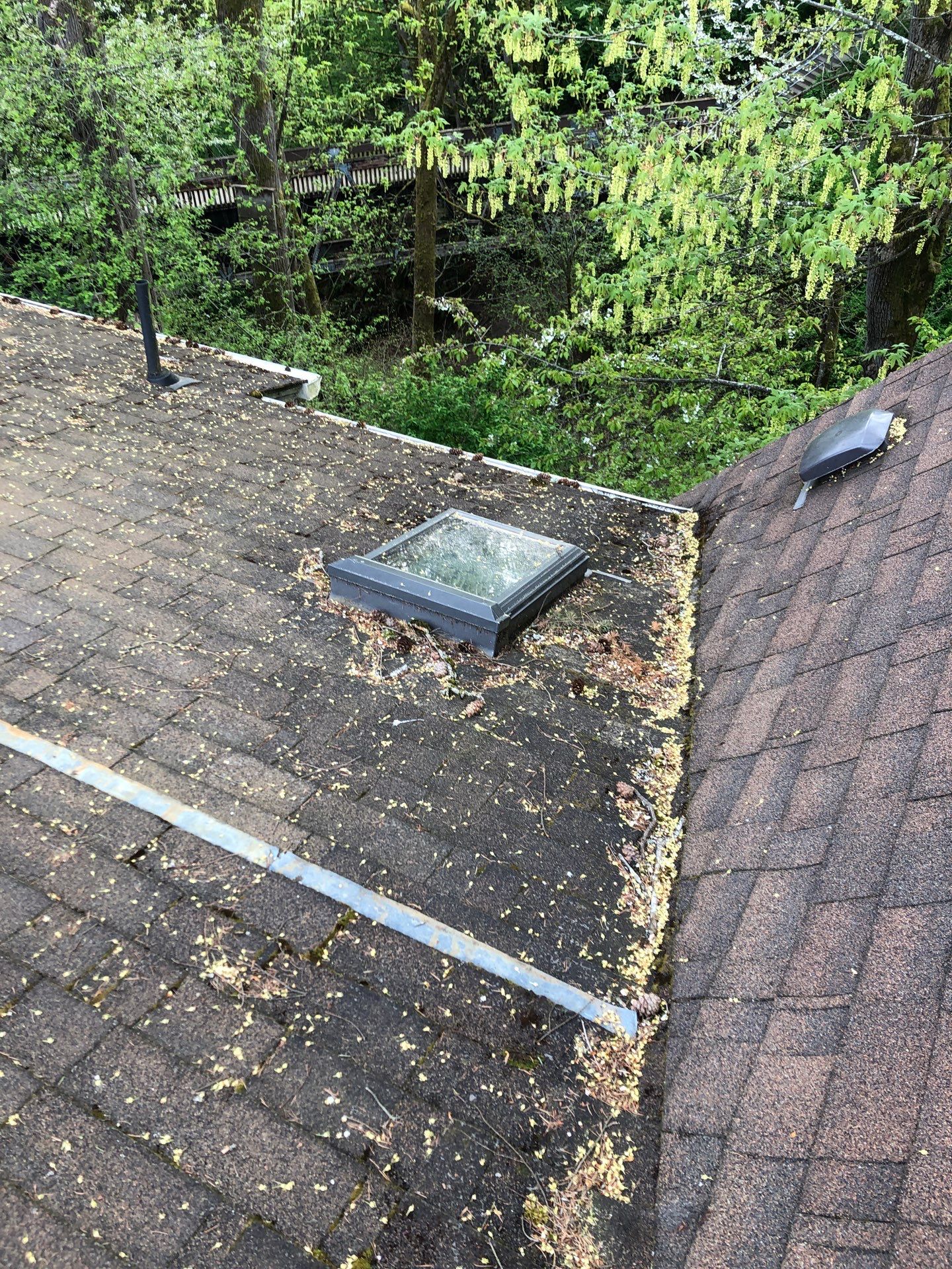 Project in Seattle by Peaks and Valleys Construction
