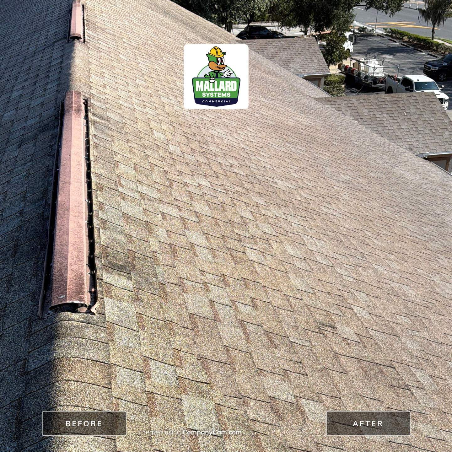 Shingle Roof Cleaning at Kissimmee Commercial Center by Mallard Systems