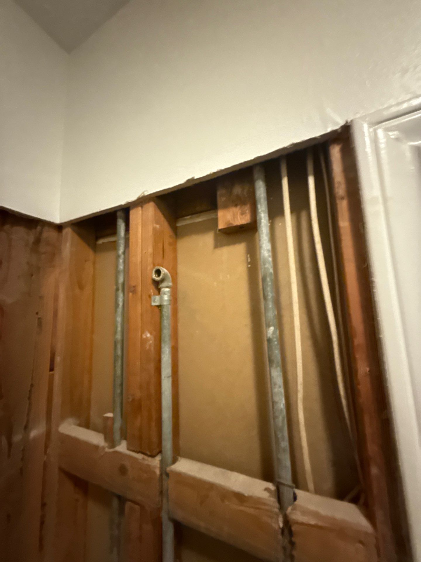 The Napolitano Family by SophAlx LLC