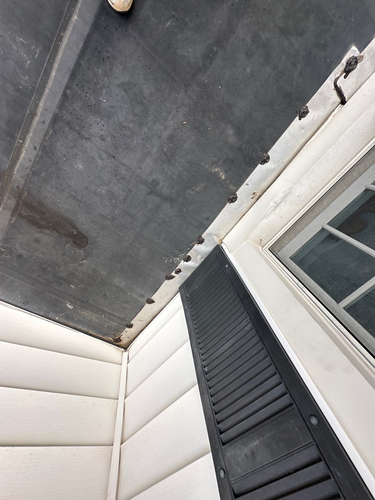 Roof Replacement in Freeland, MD • Matt H. by Seipp Roofing, LLC