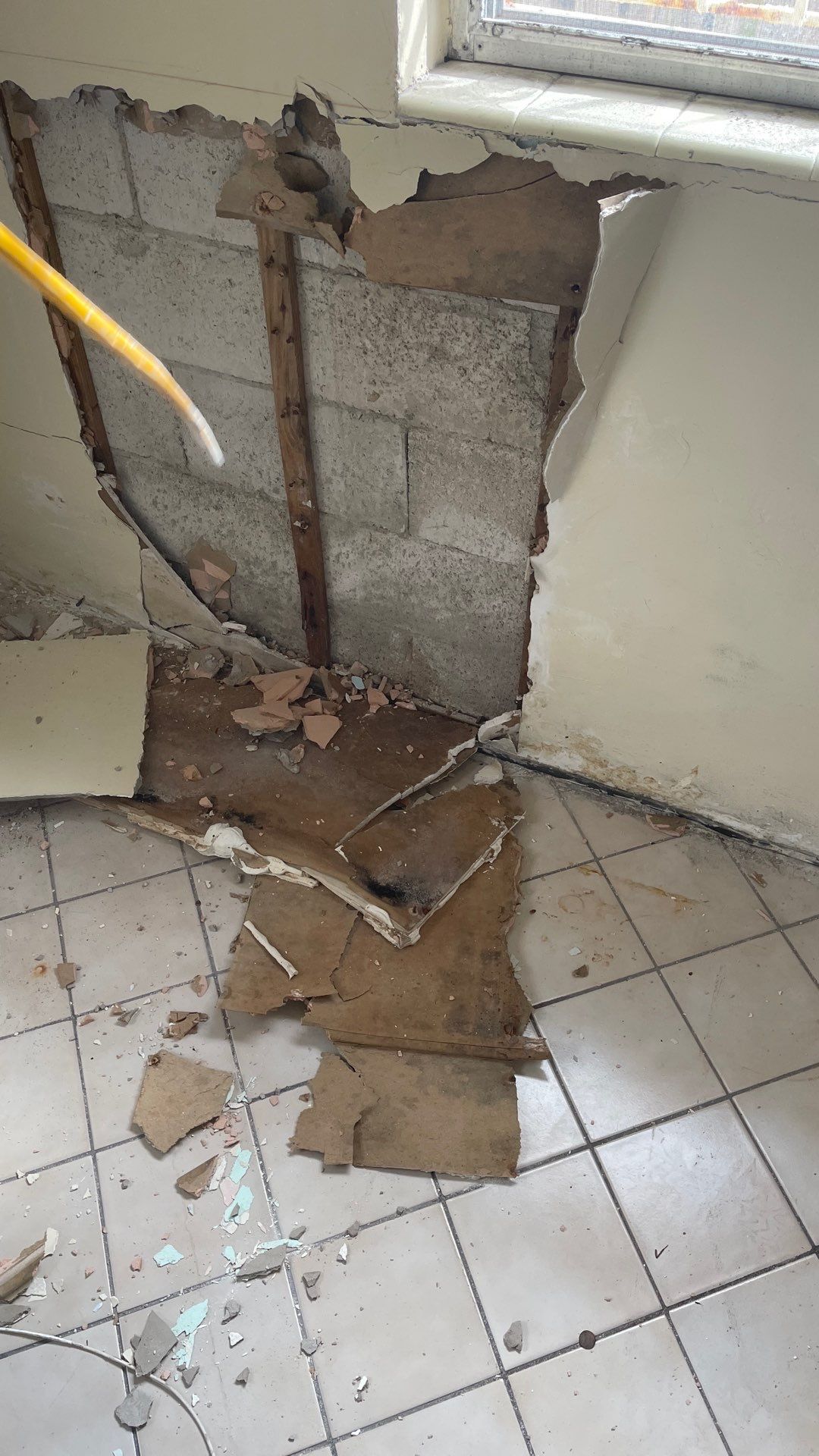 Mold Remediation  by THE RAPID TEAM