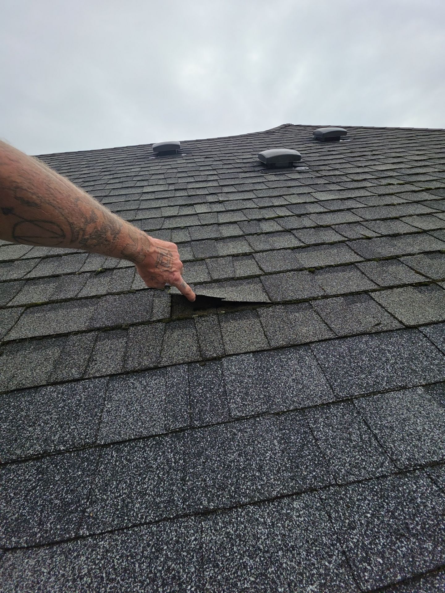 Project in Corvallis by Alamo Roofing