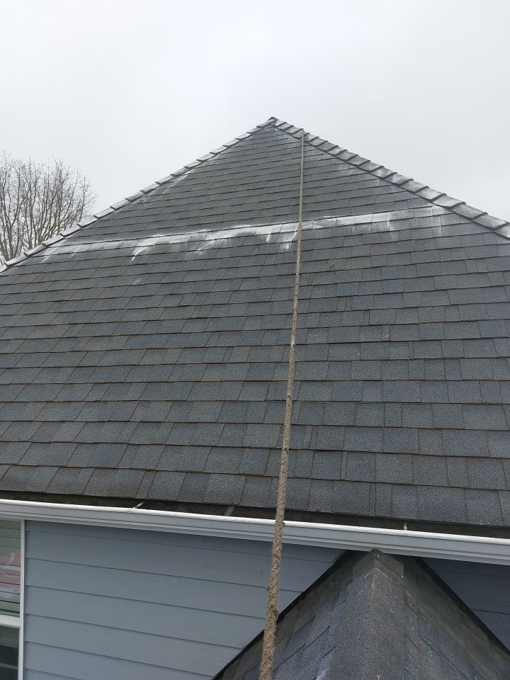 Roof Cleaning  using Moss Treatment  by BEST Roofing & Waterproofing