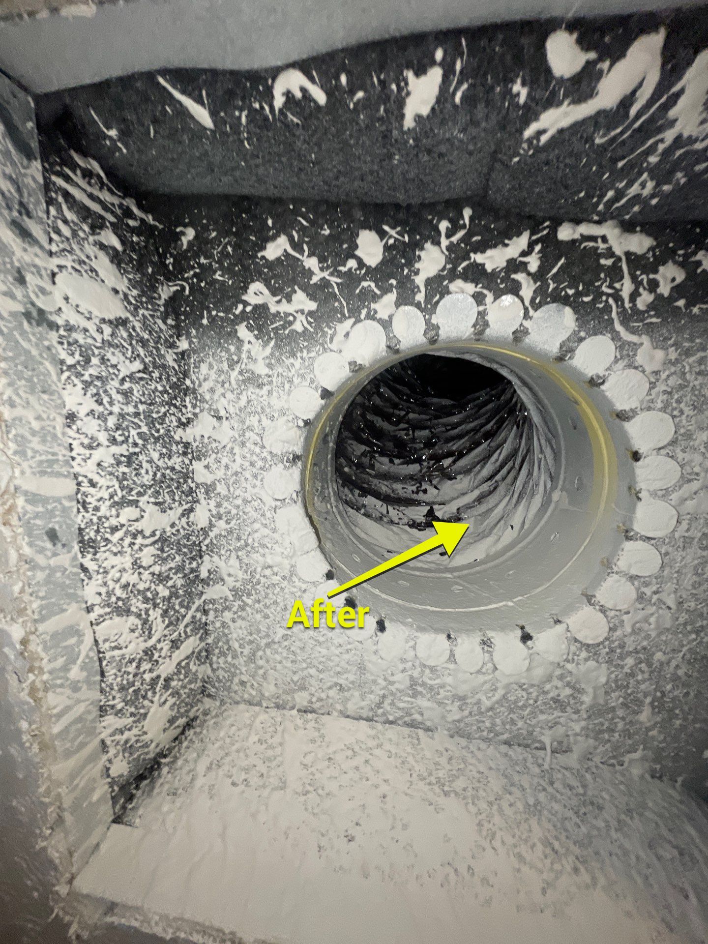 Air Duct Dryer Vent Cleaning in Winter Garden by Hygienic Air, Inc