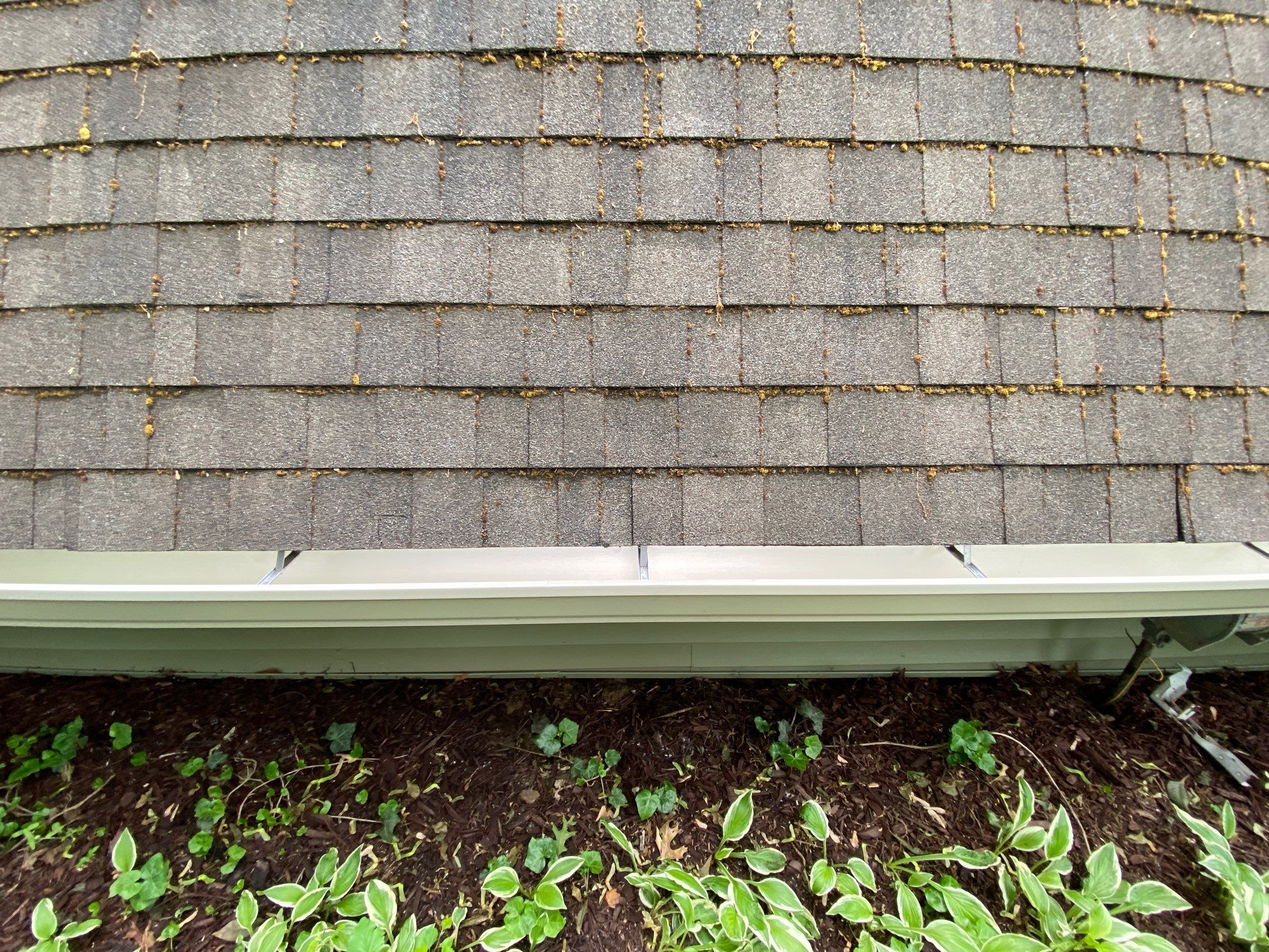 Siding Replacement using CertainTeed Restoration Classis D4 by 180 Contractors