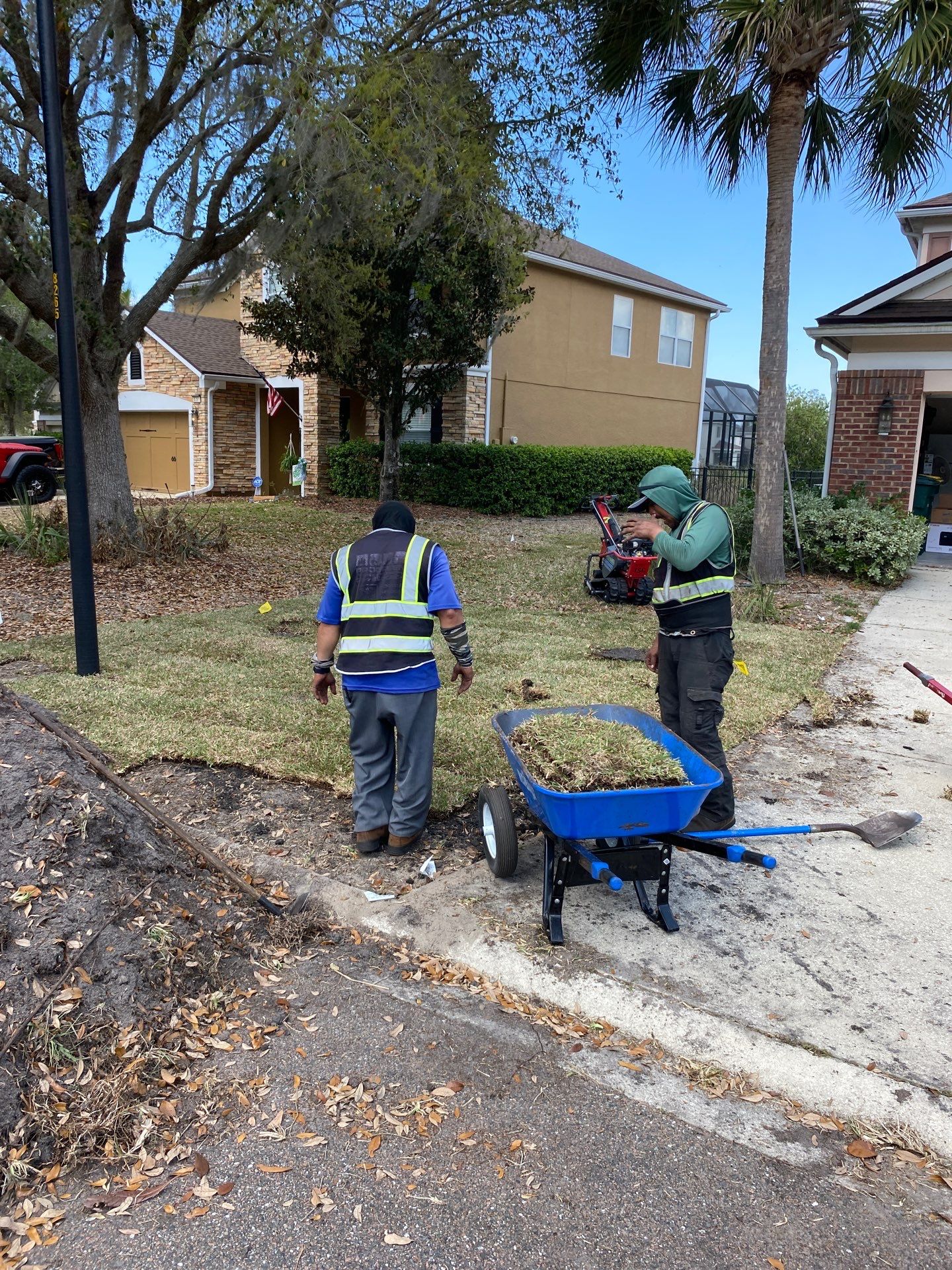 Residential | Sod Install by ProGreen Services