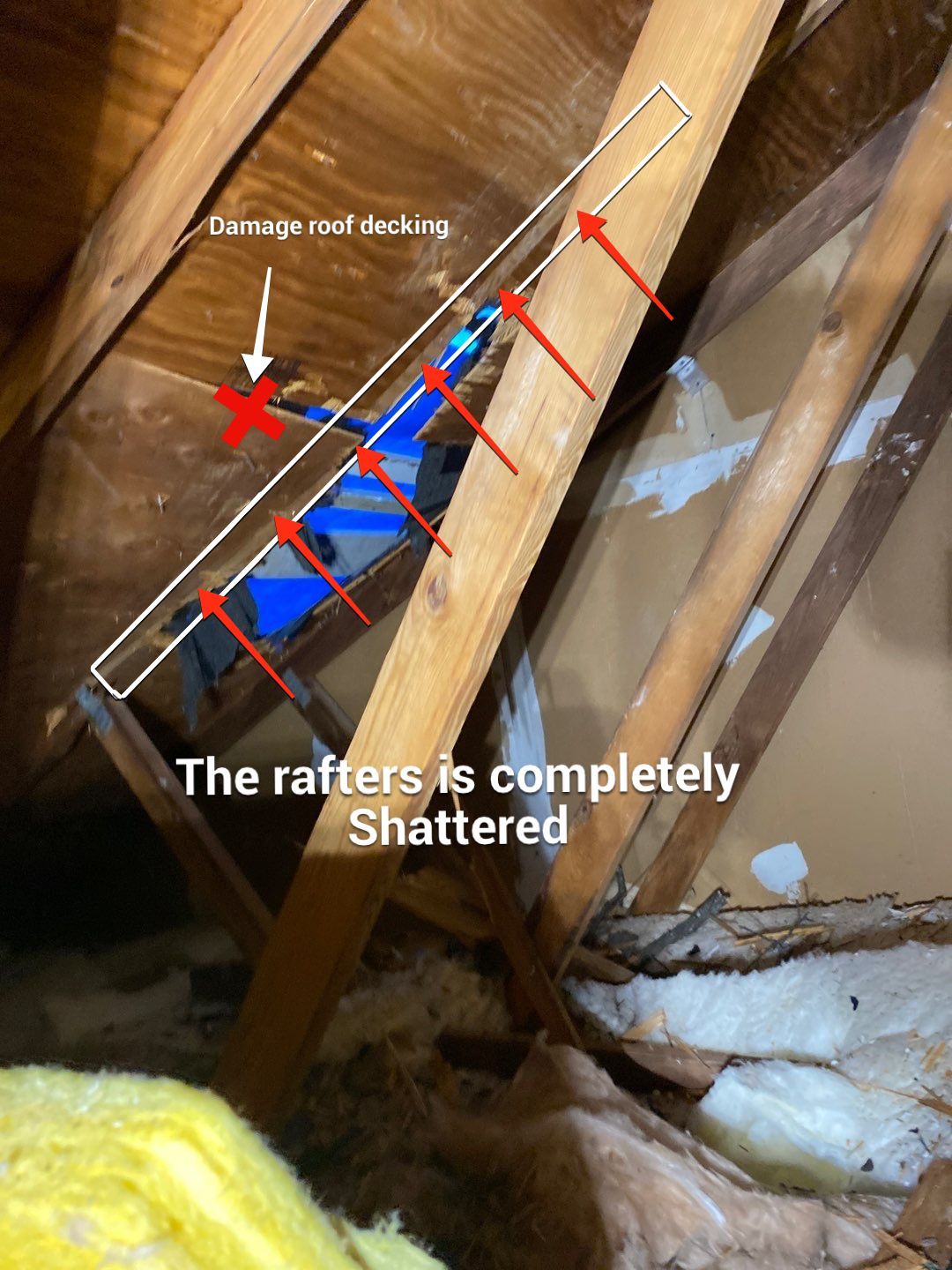 Roof Repair  by Alpha Design Services