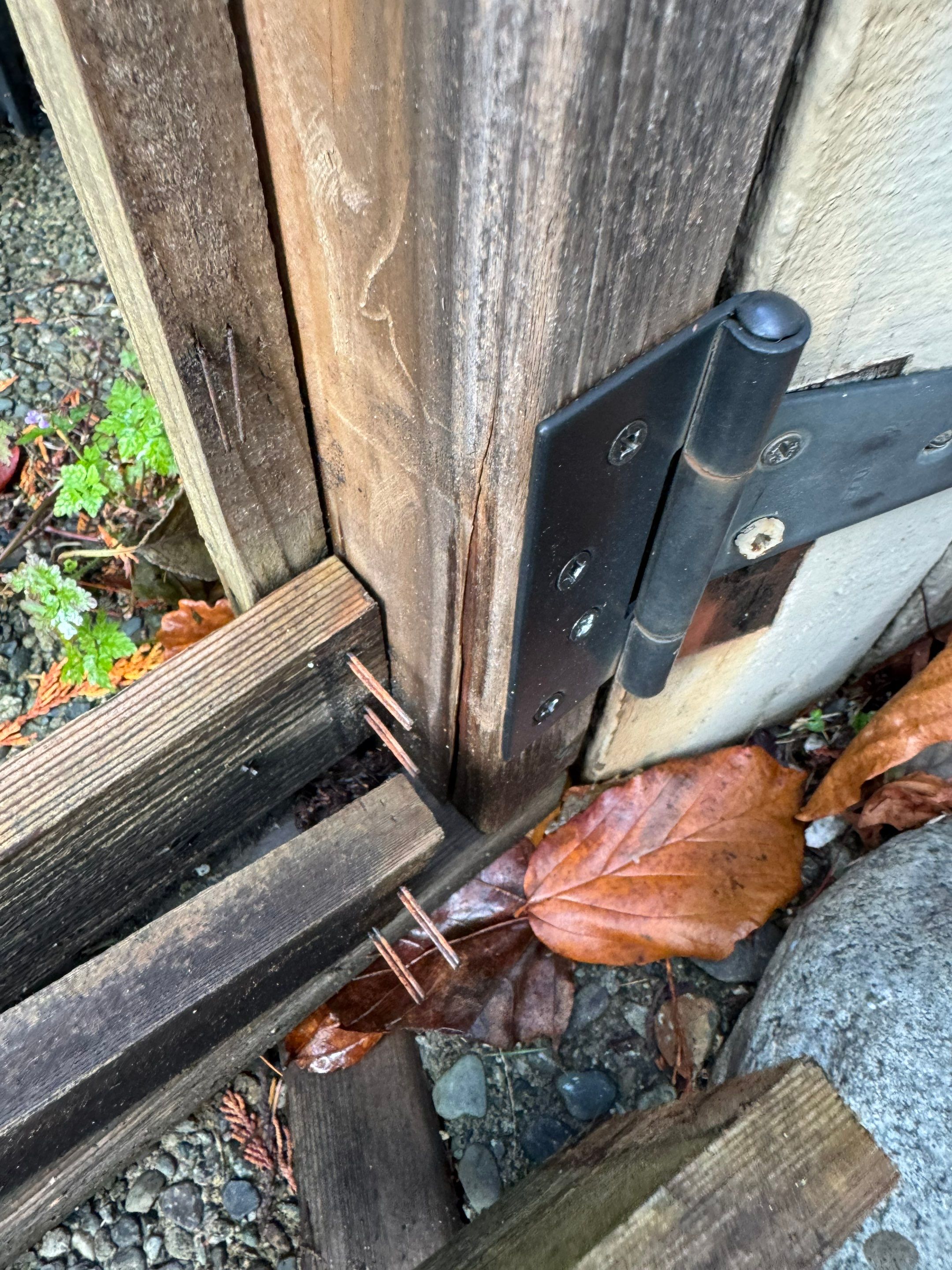 New Wooden Gate by YVR Construction Group