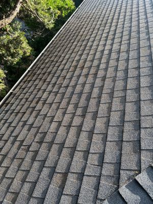 Roof Cleaning