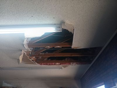 Project in Tuttle