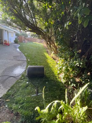 Project in Carmichael