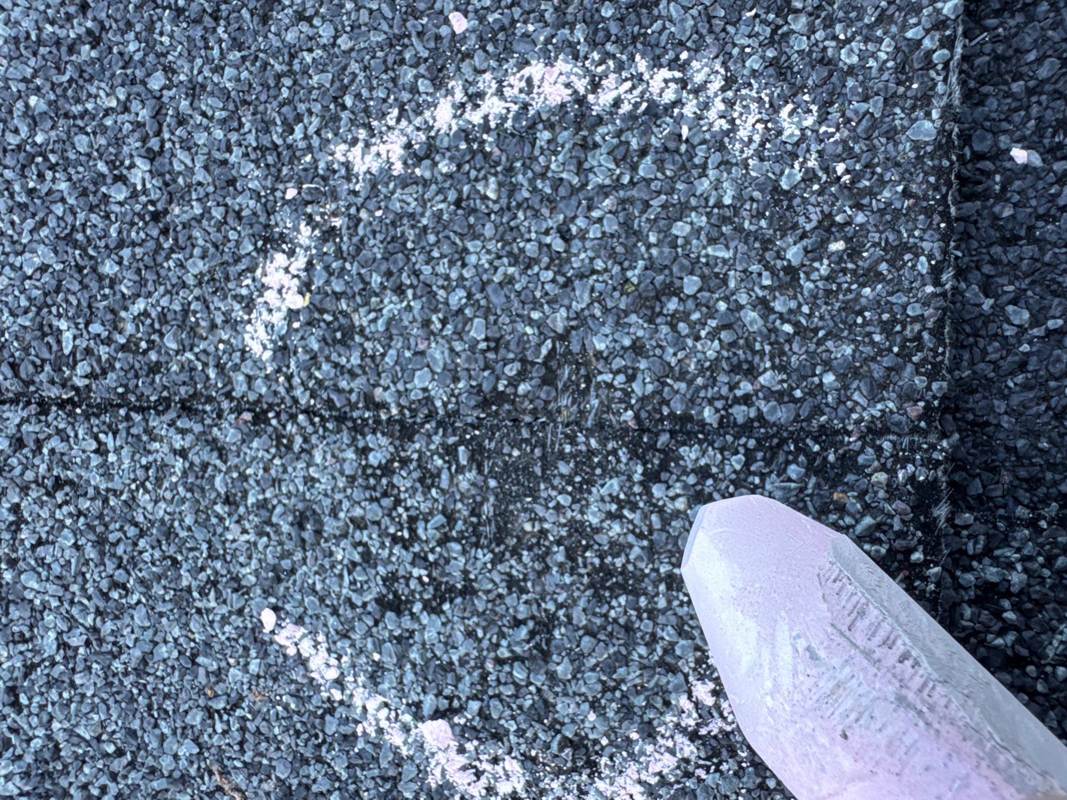 Chyleen Feagin by Tru-Built Roofing