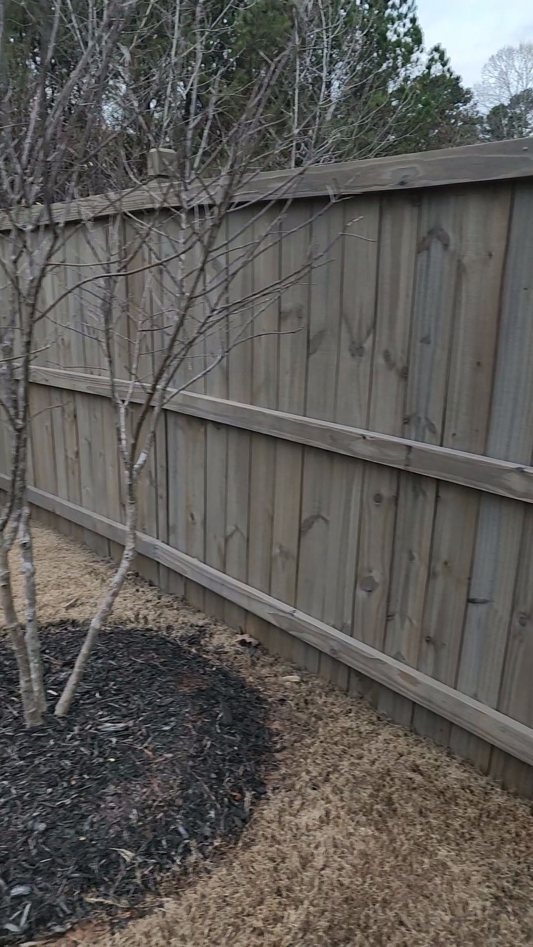 Fence Staining using Cape Cod Grey by SSE by Titans of Timber Fence & Stain