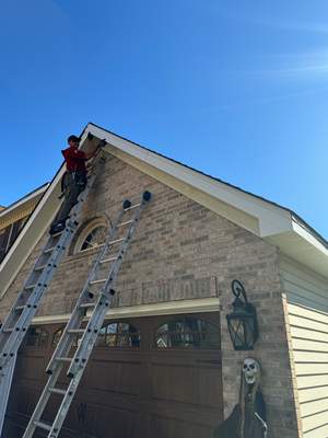 Latest photograph of the Turtle Shell installation in Naperville, IL 60540