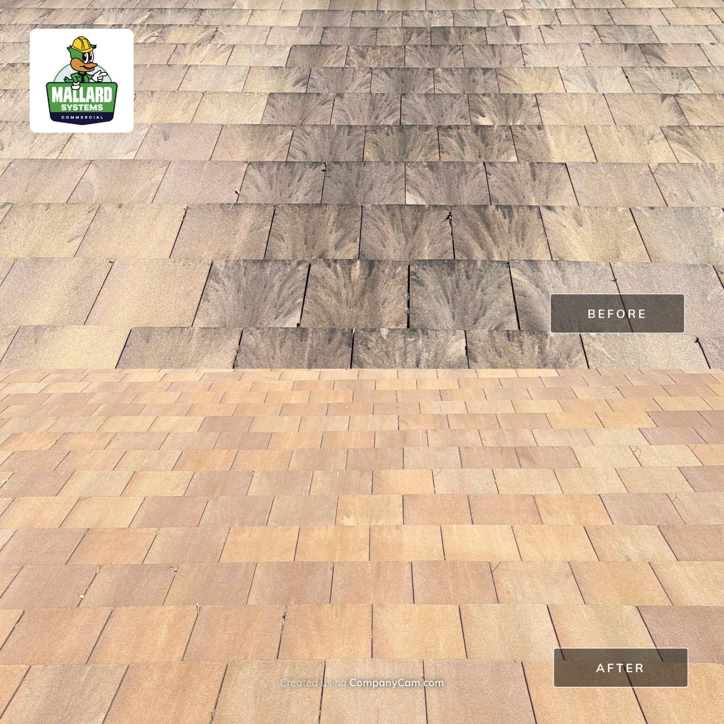 Tile Roof Cleaning in Orlando by Mallard Systems