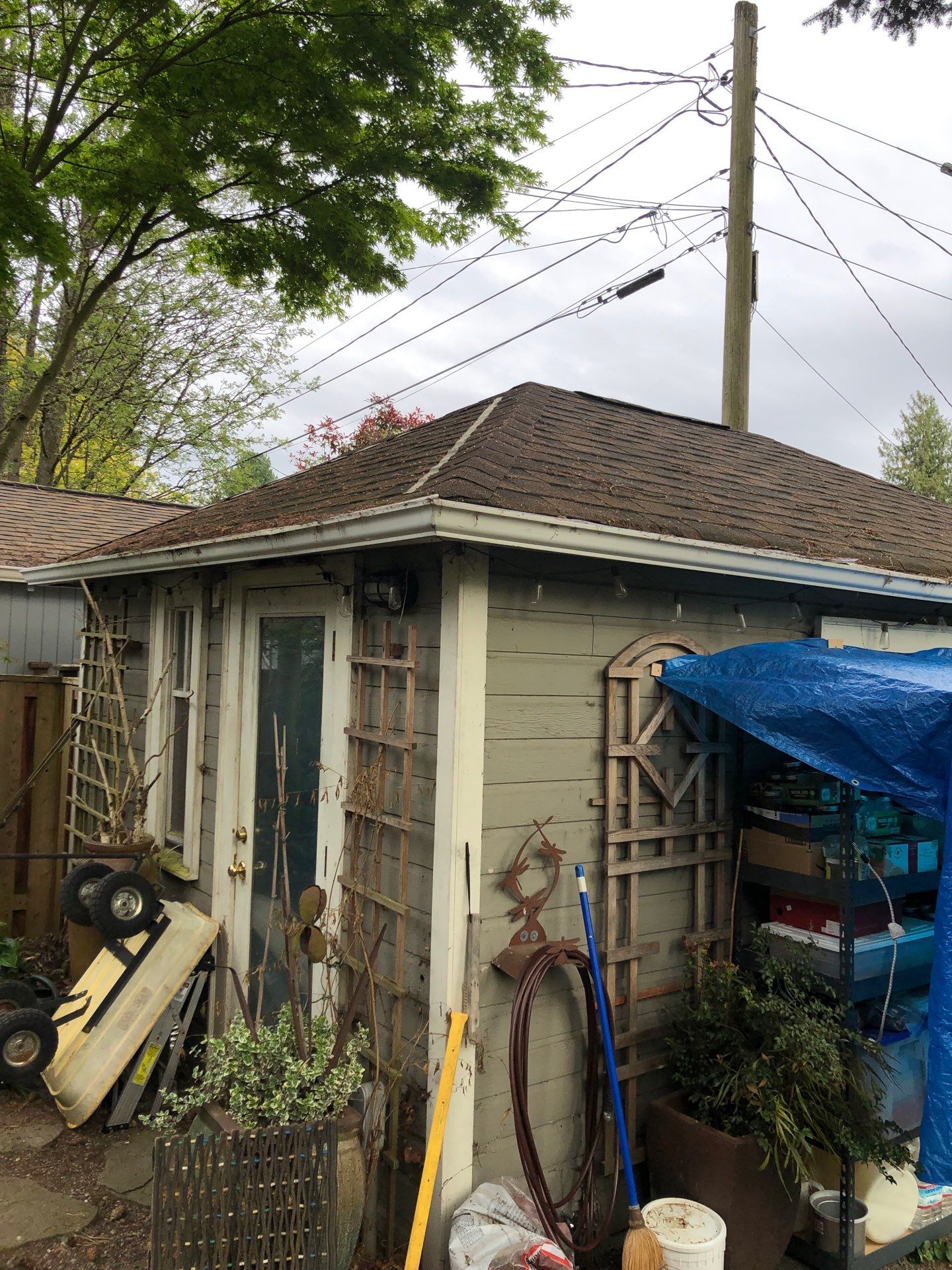 Project in Seattle by Connolly Construction Company