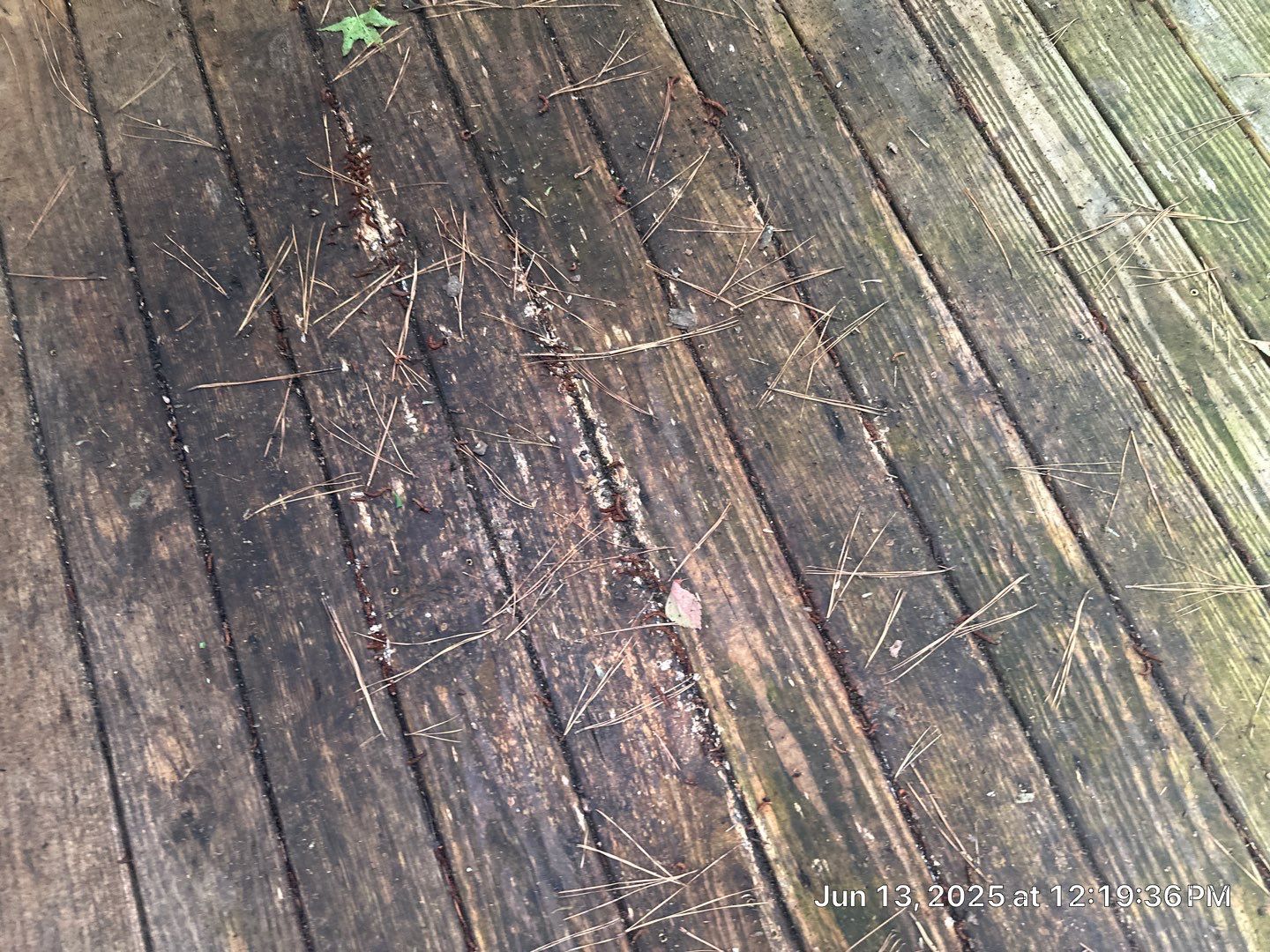 Wood Deck using Wood Sealant by DuraSeal