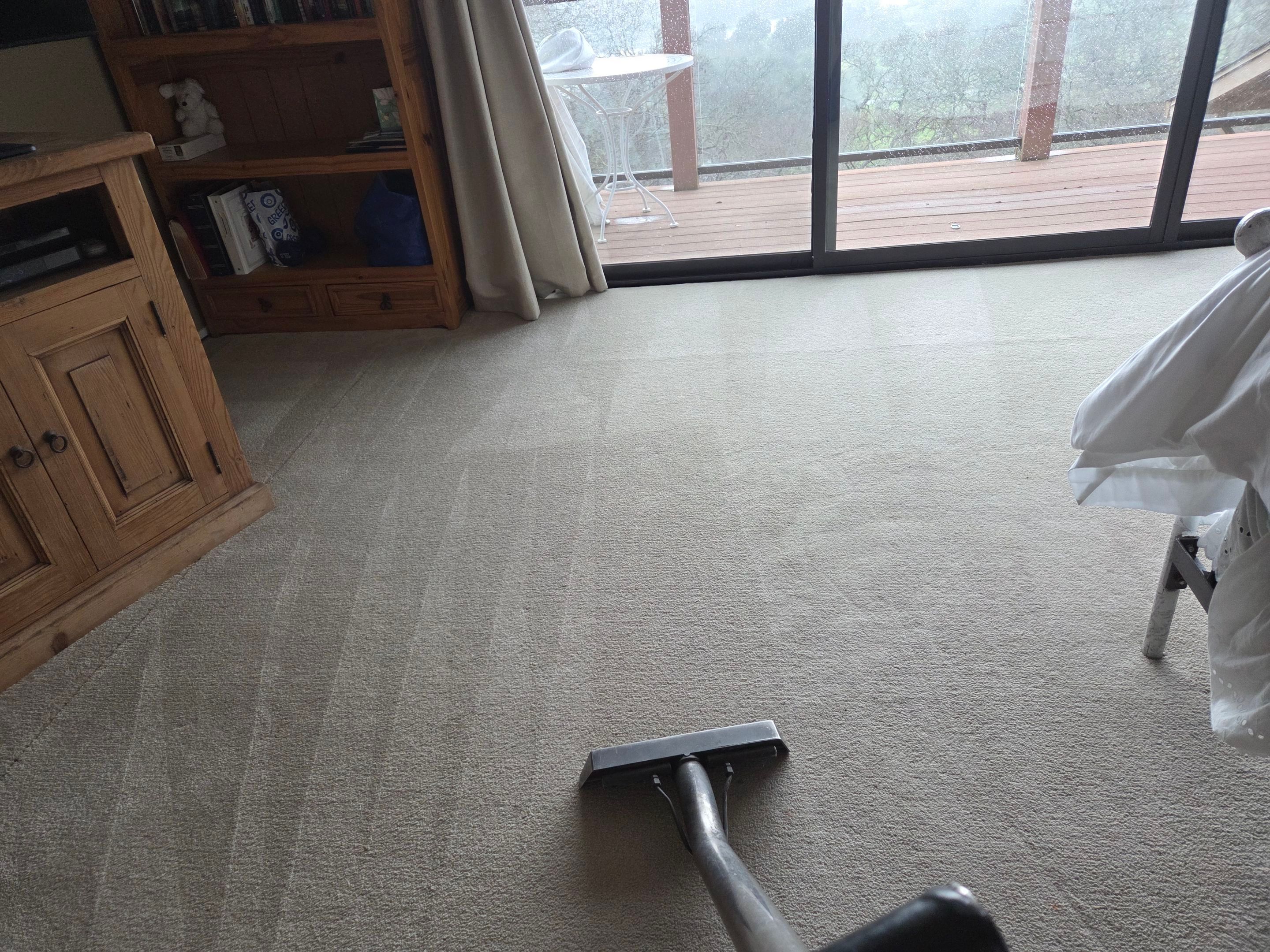 Condo Carpet Cleaning in Fair Oaks by Ardent Carpet Restore LLC