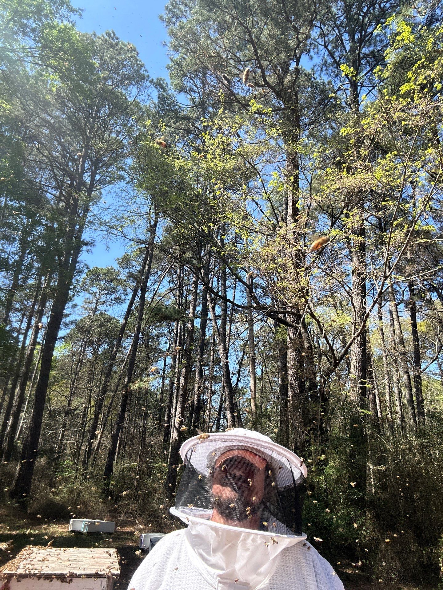 Tree Farm Apiary by Rockwall Honey Bee Company