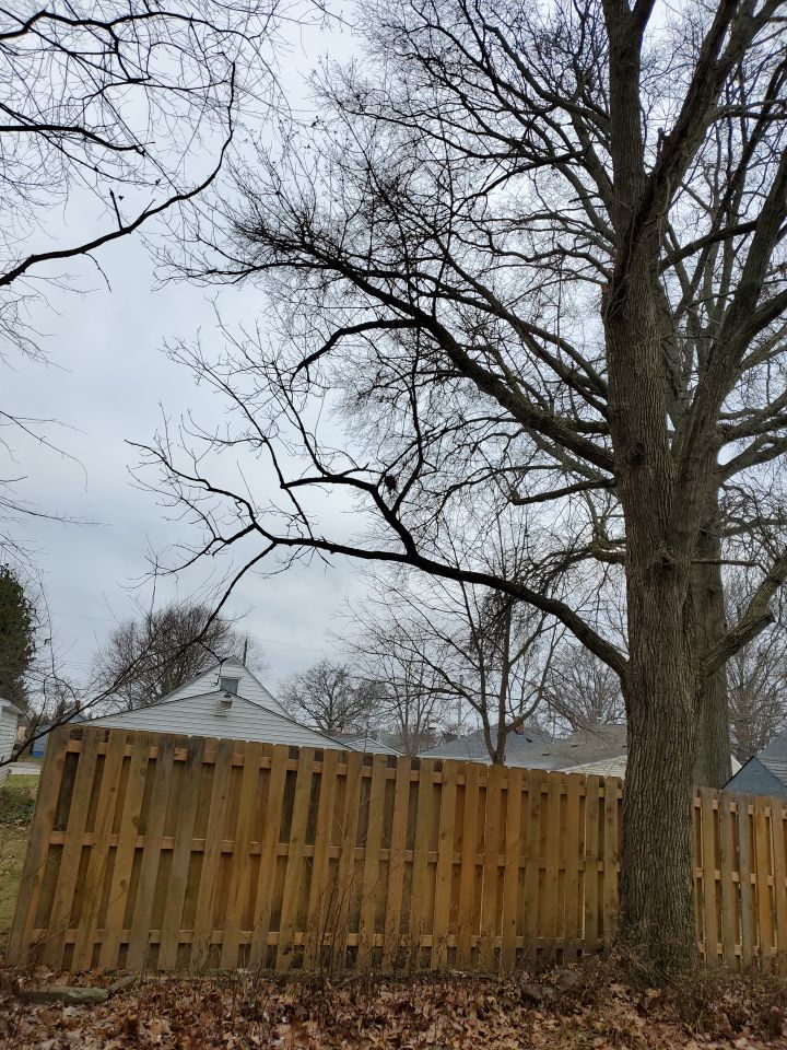 Tree Removal using Tree Removal by Mike Jones & Sons Tree Service LLC 