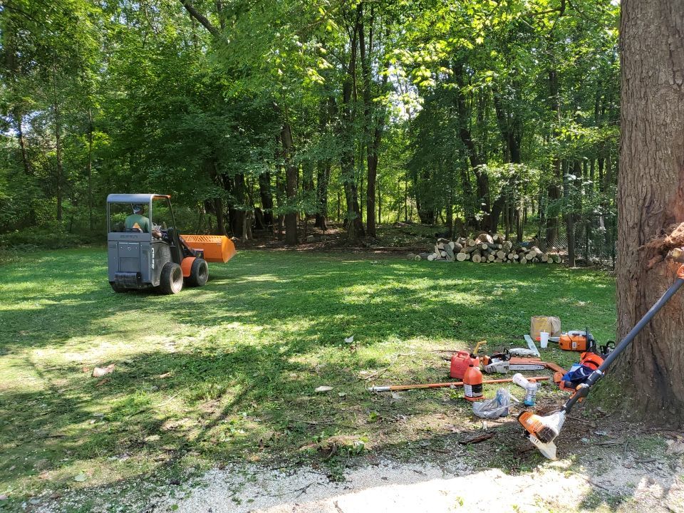 Storm Damaged Tree Removal  by Mike Jones & Sons Tree Service LLC 