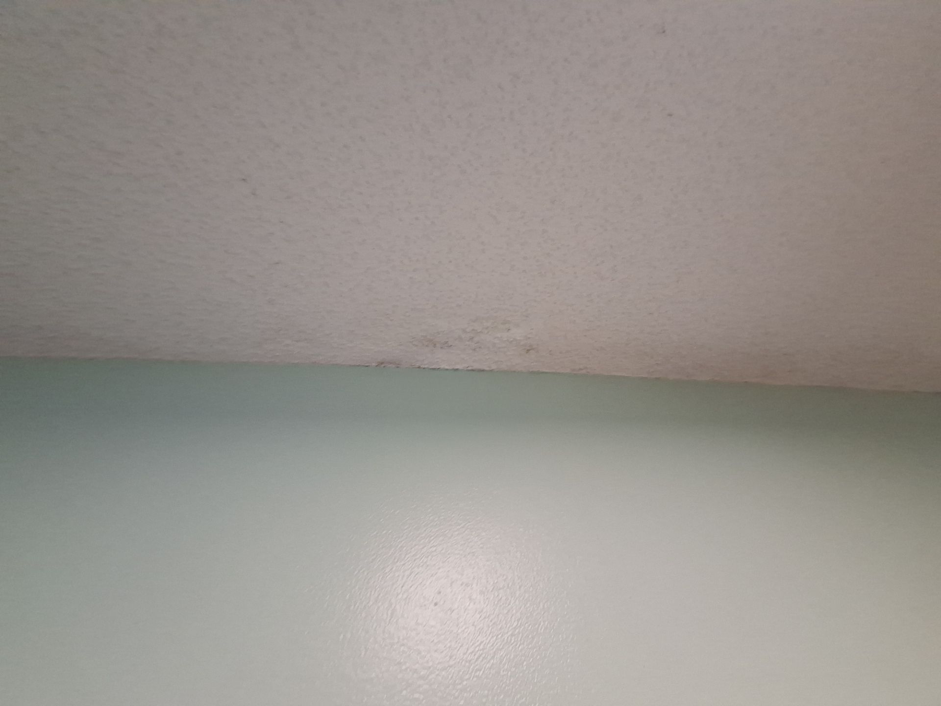 Interior Ceiling Painting | Whitehall, Michigan by Gordon Painting
