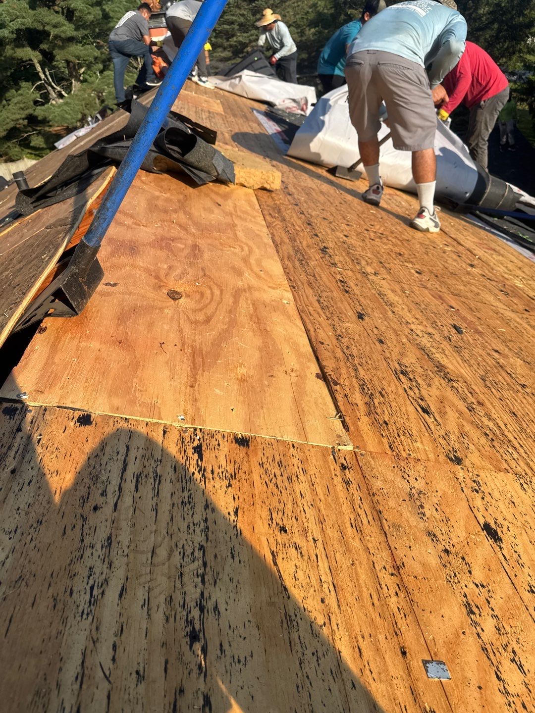 Project in Westminster by Elvis General Construction LLC