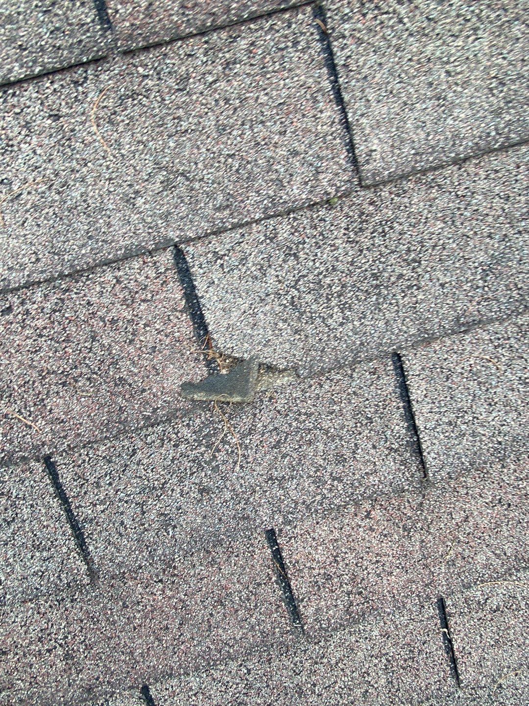 Residential Roofing Installation using Performance Shingles by Mr. Roofer